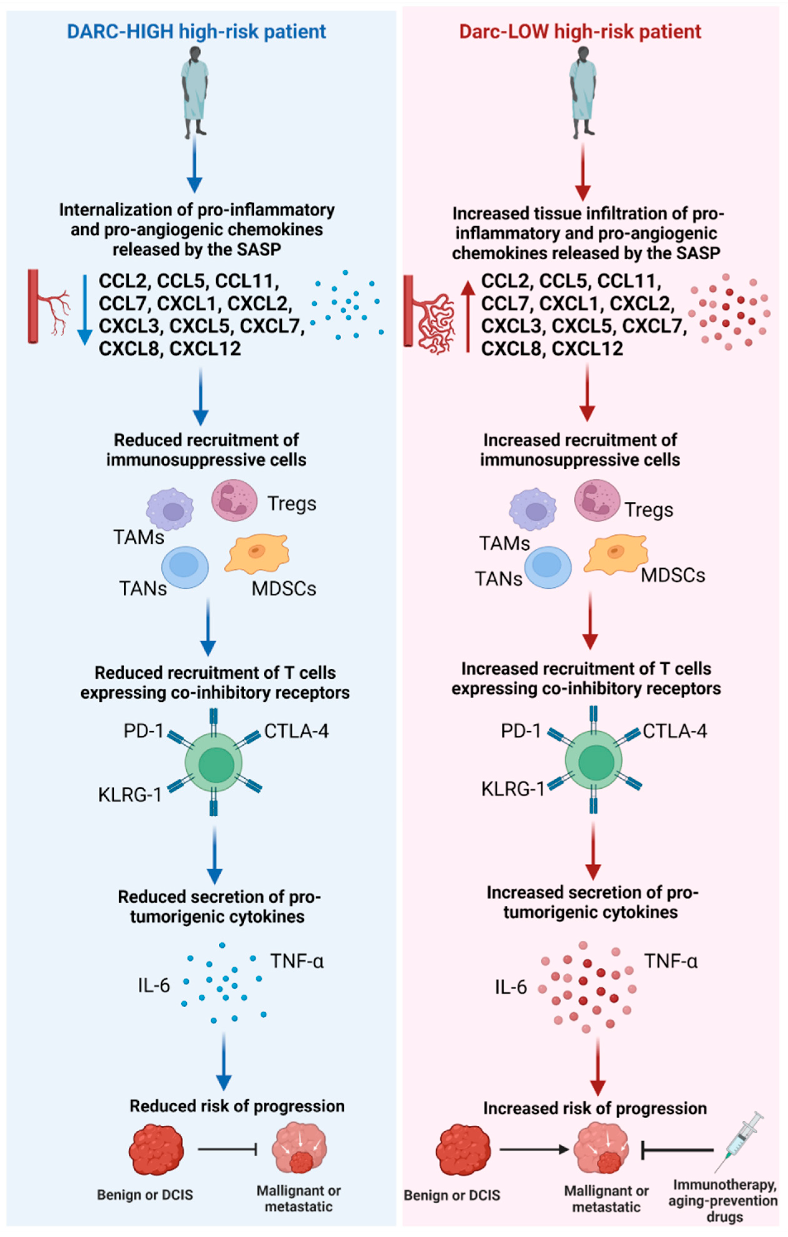 Cells 11 03818 g001 Cells 11 03818 g001