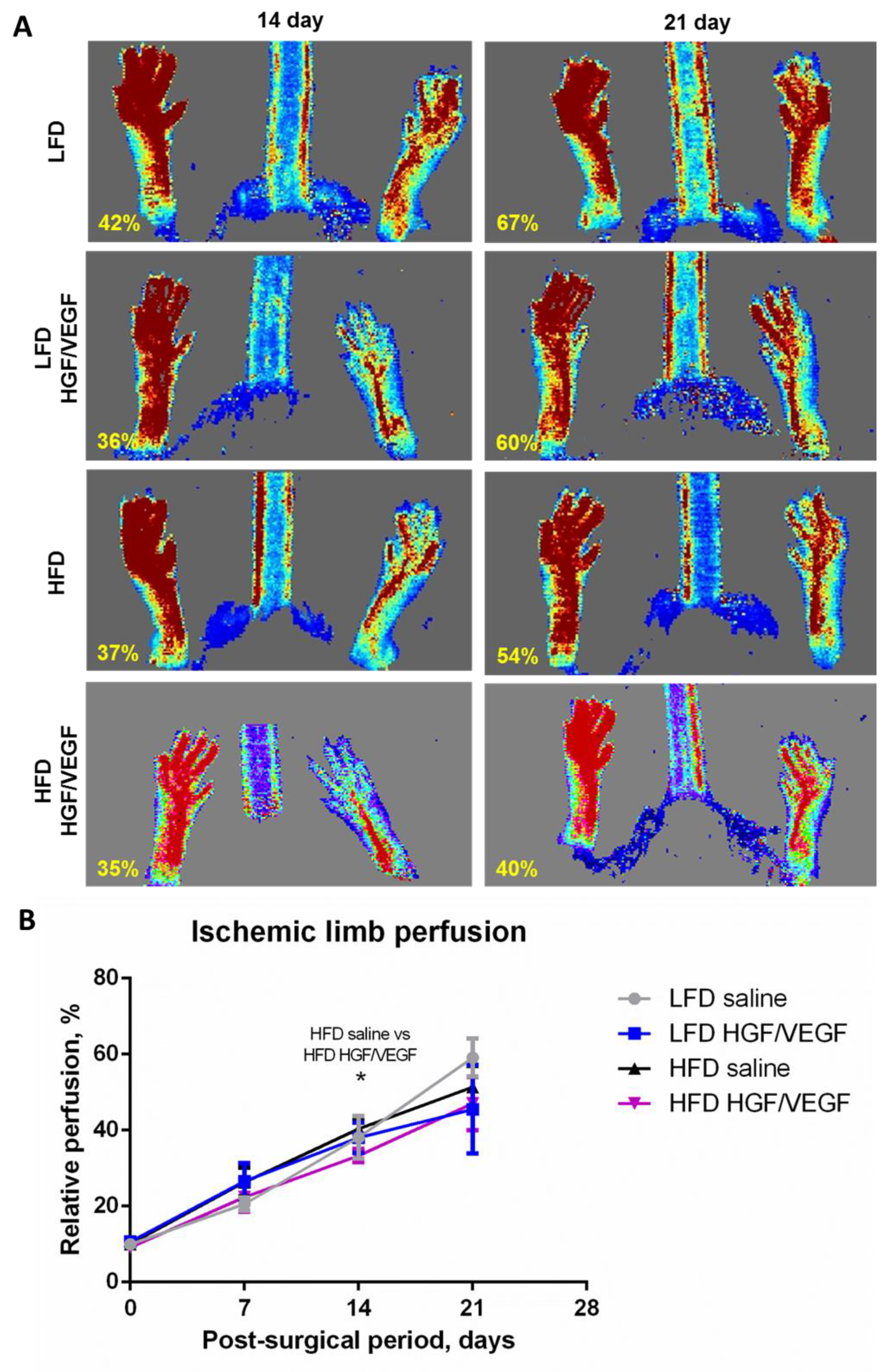 Cells 11 03824 g003 Cells 11 03824 g003