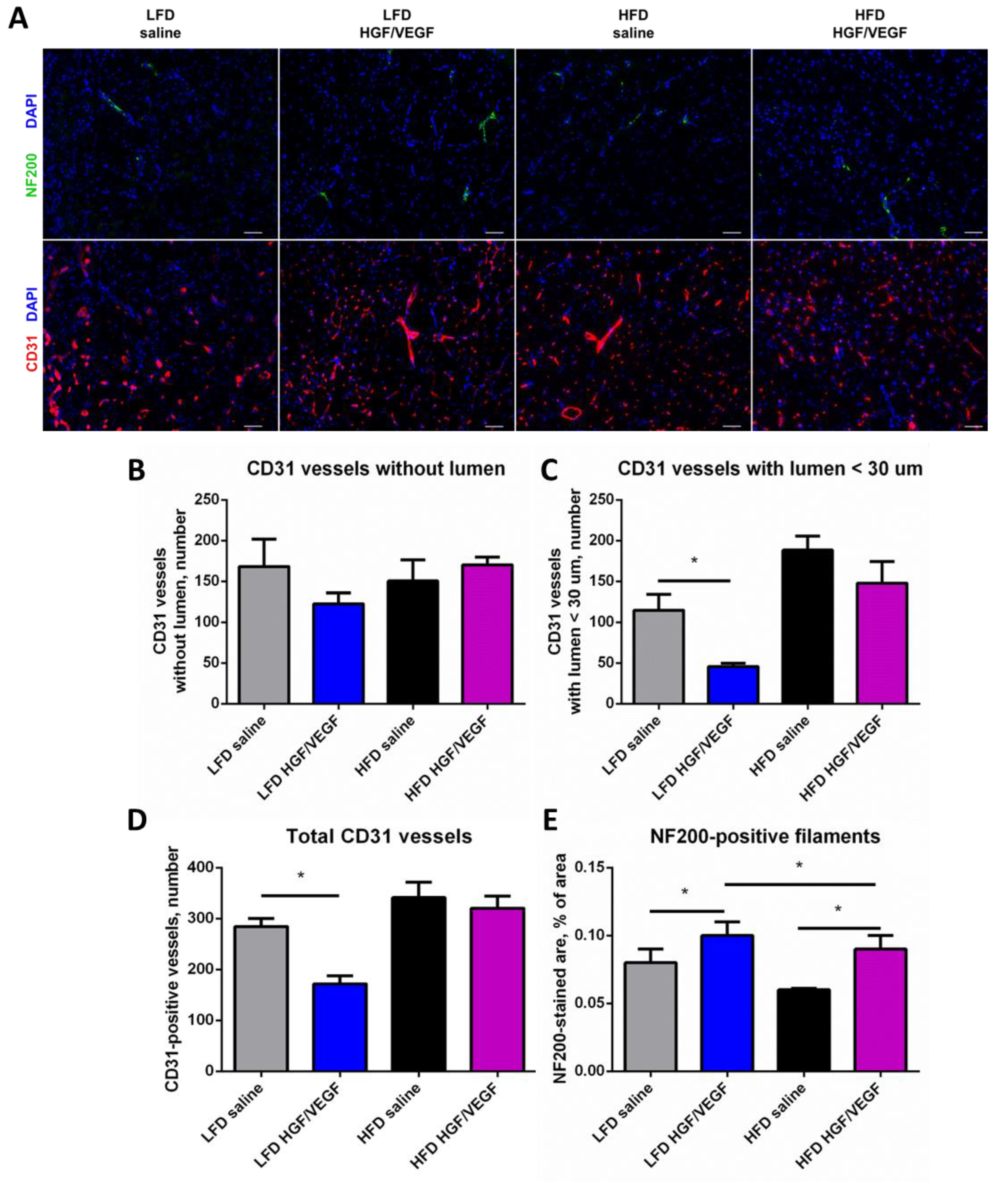 Cells 11 03824 g005 Cells 11 03824 g005