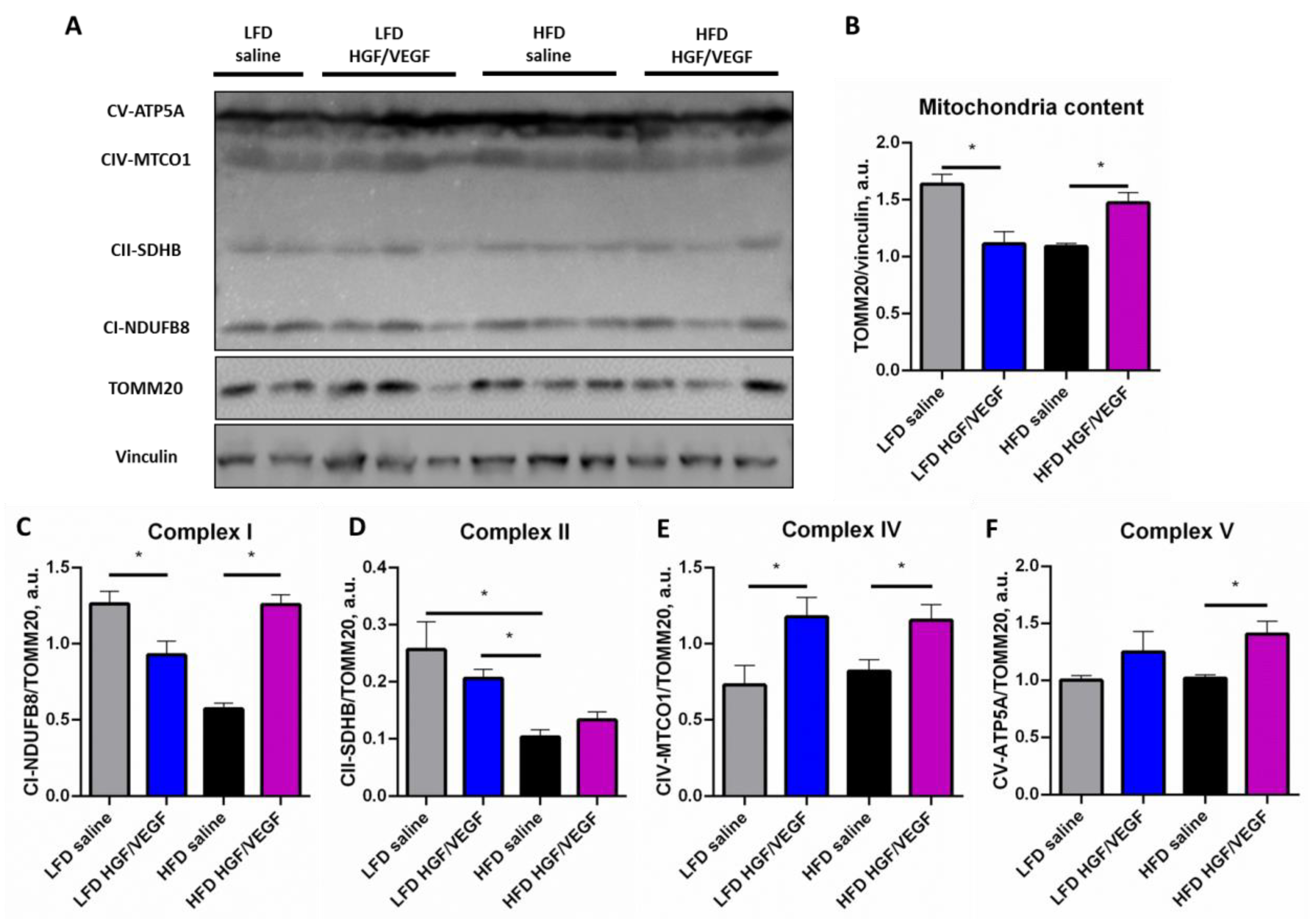 Cells 11 03824 g006 Cells 11 03824 g006