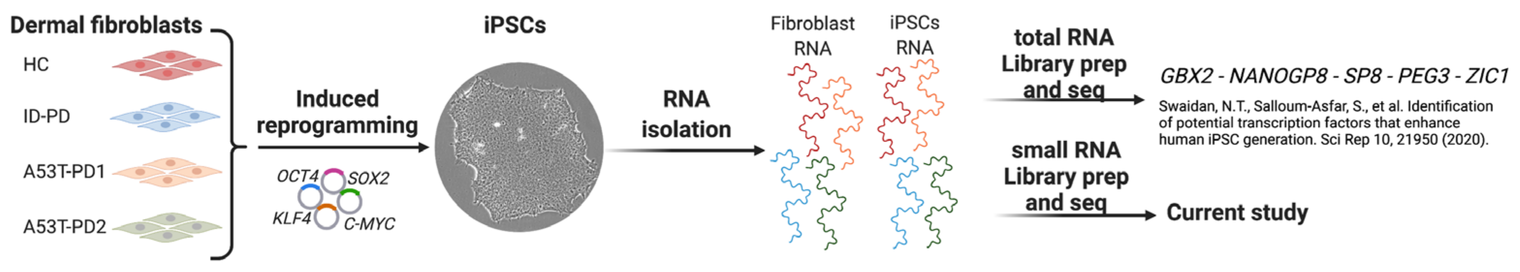 Cells 11 03833 g001 Cells 11 03833 g001