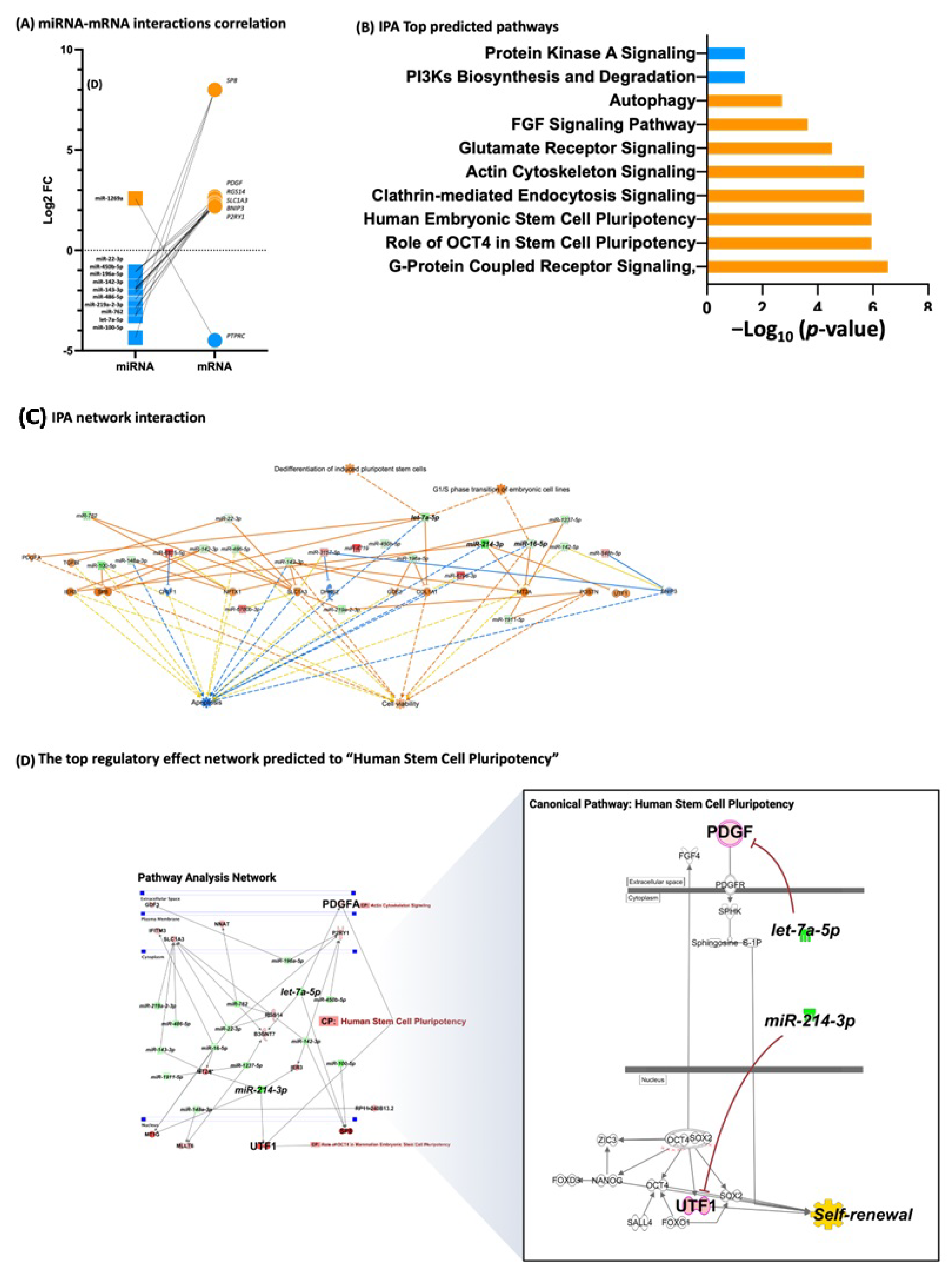 Cells 11 03833 g005 Cells 11 03833 g005