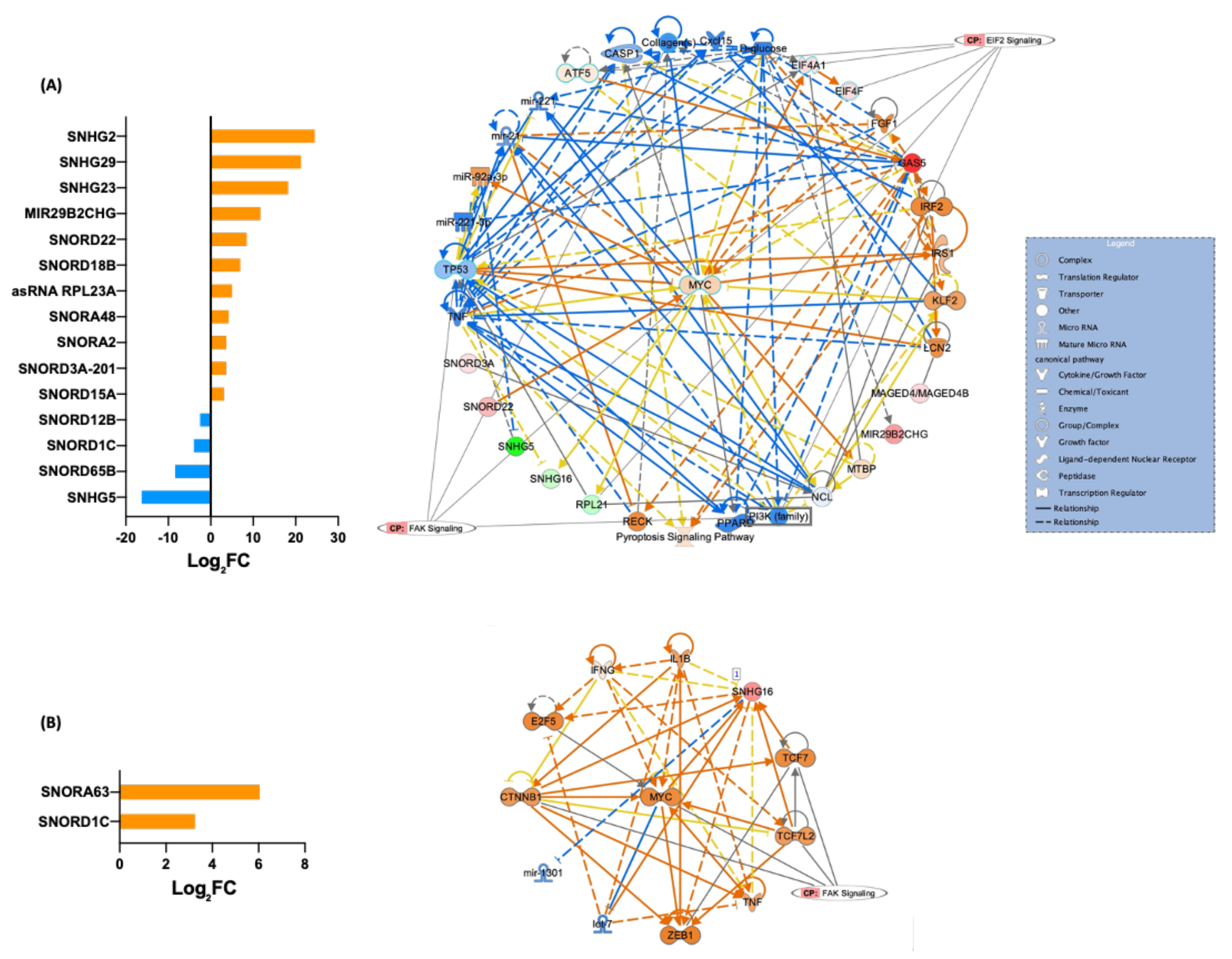 Cells 11 03833 g007 Cells 11 03833 g007