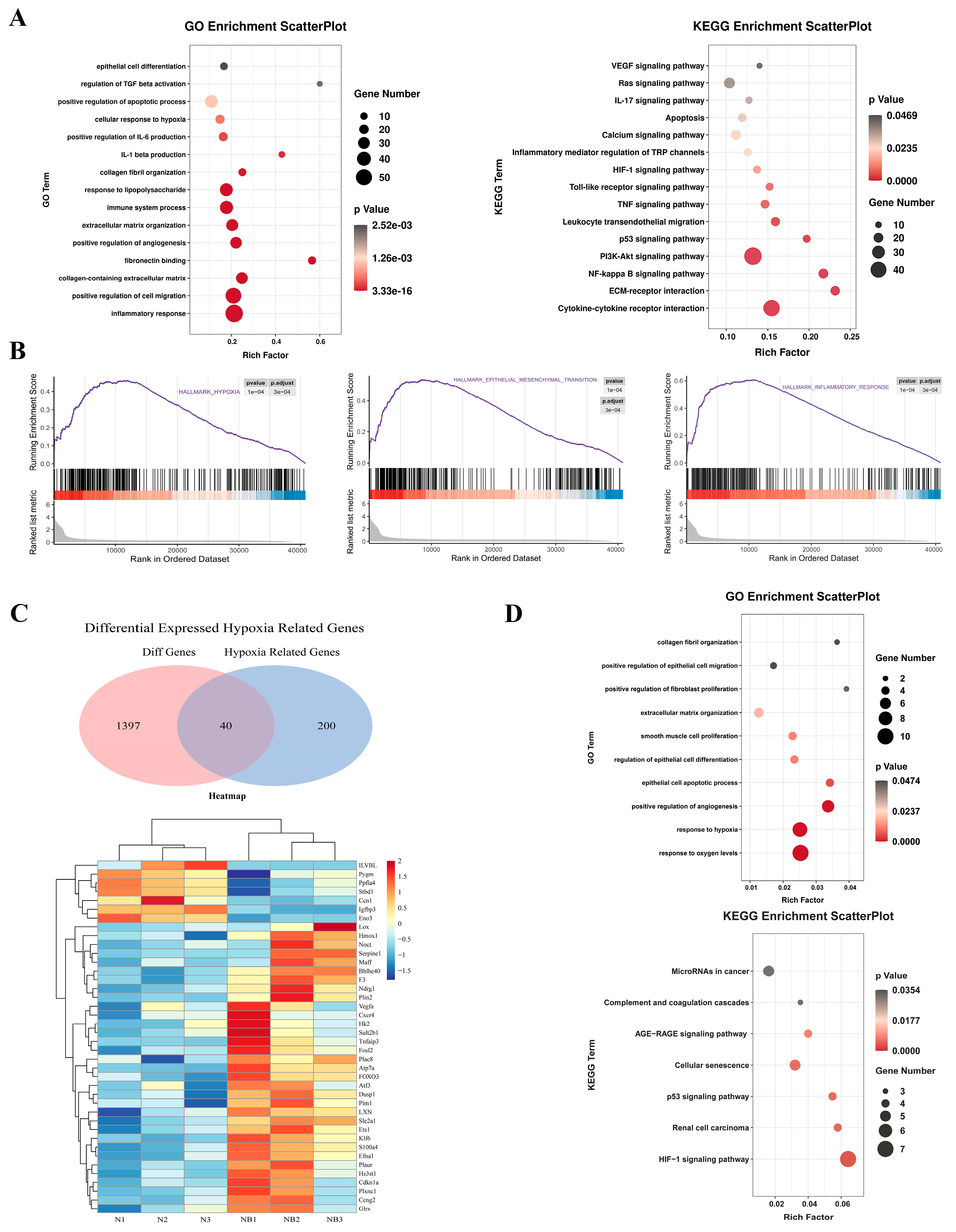 Cells 11 03836 g002 Cells 11 03836 g002