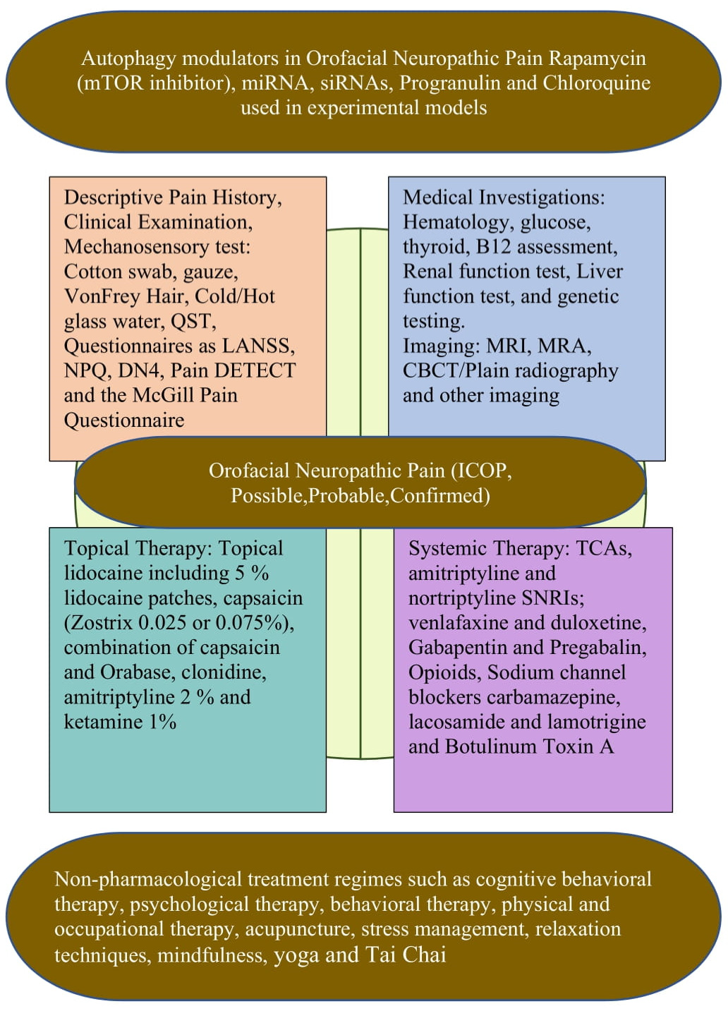 Cells 11 03842 g003 Cells 11 03842 g003
