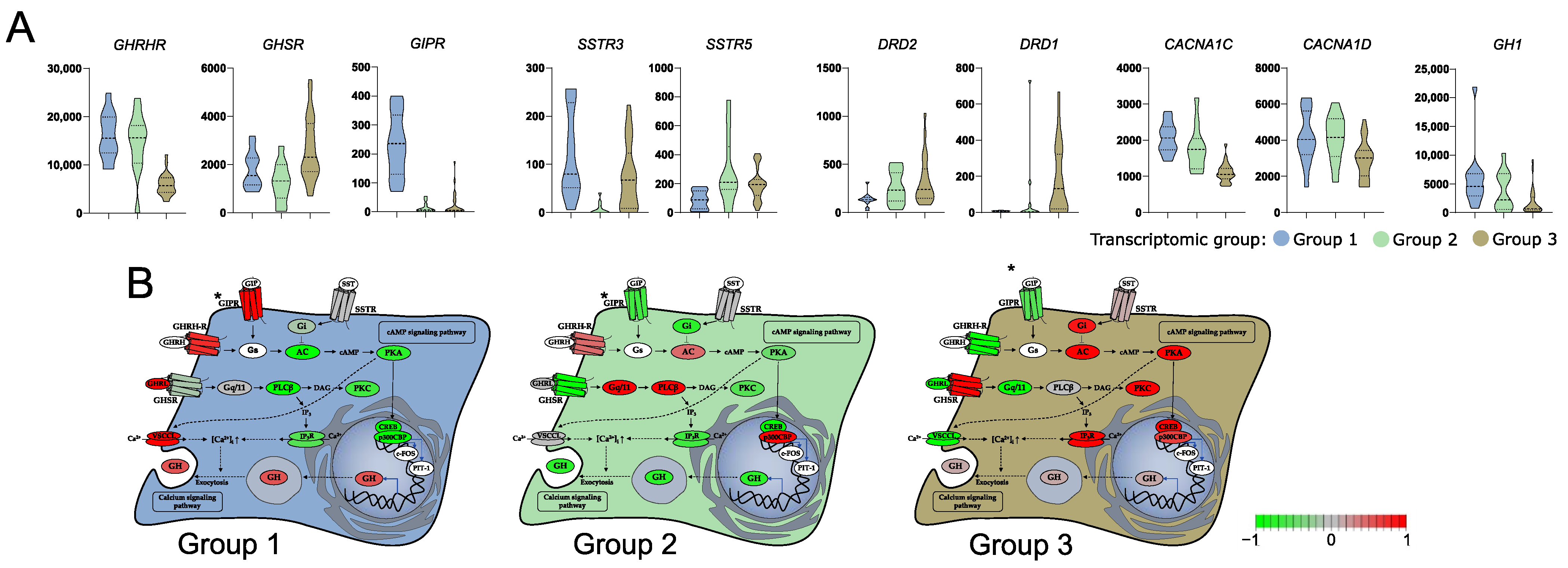 Cells 11 03846 g003 Cells 11 03846 g003