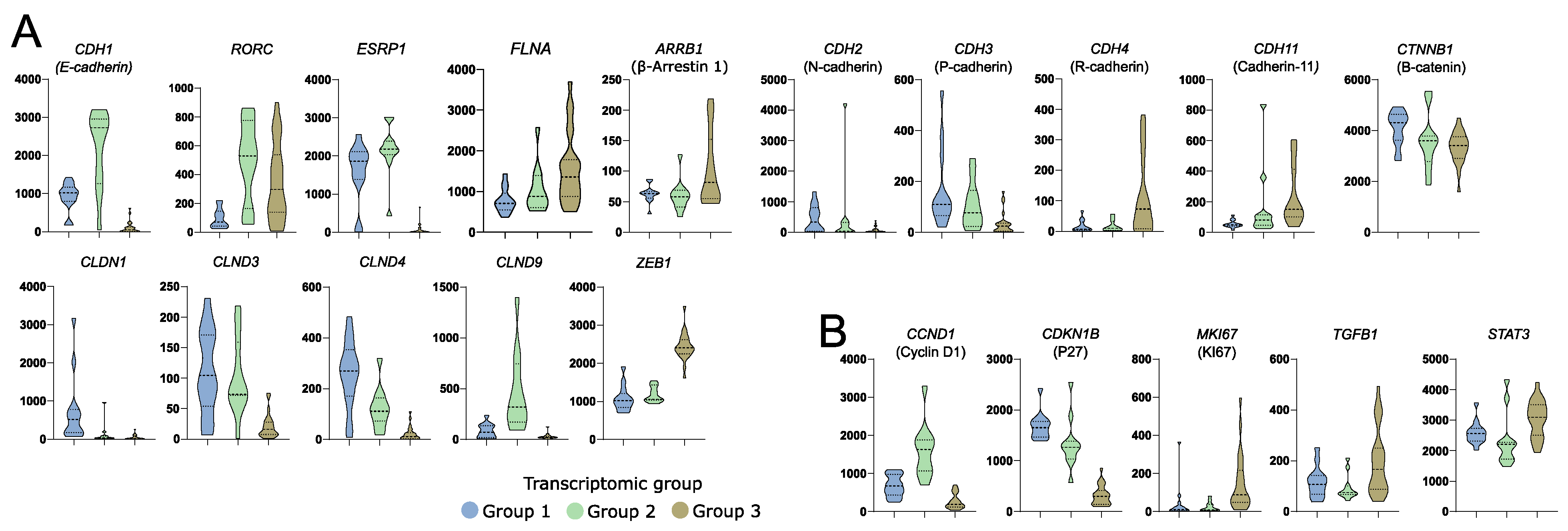 Cells 11 03846 g004 Cells 11 03846 g004