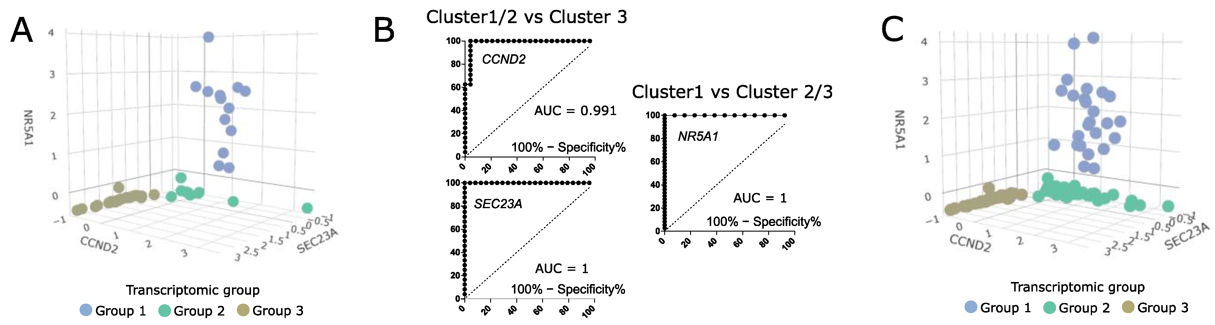 Cells 11 03846 g006 Cells 11 03846 g006