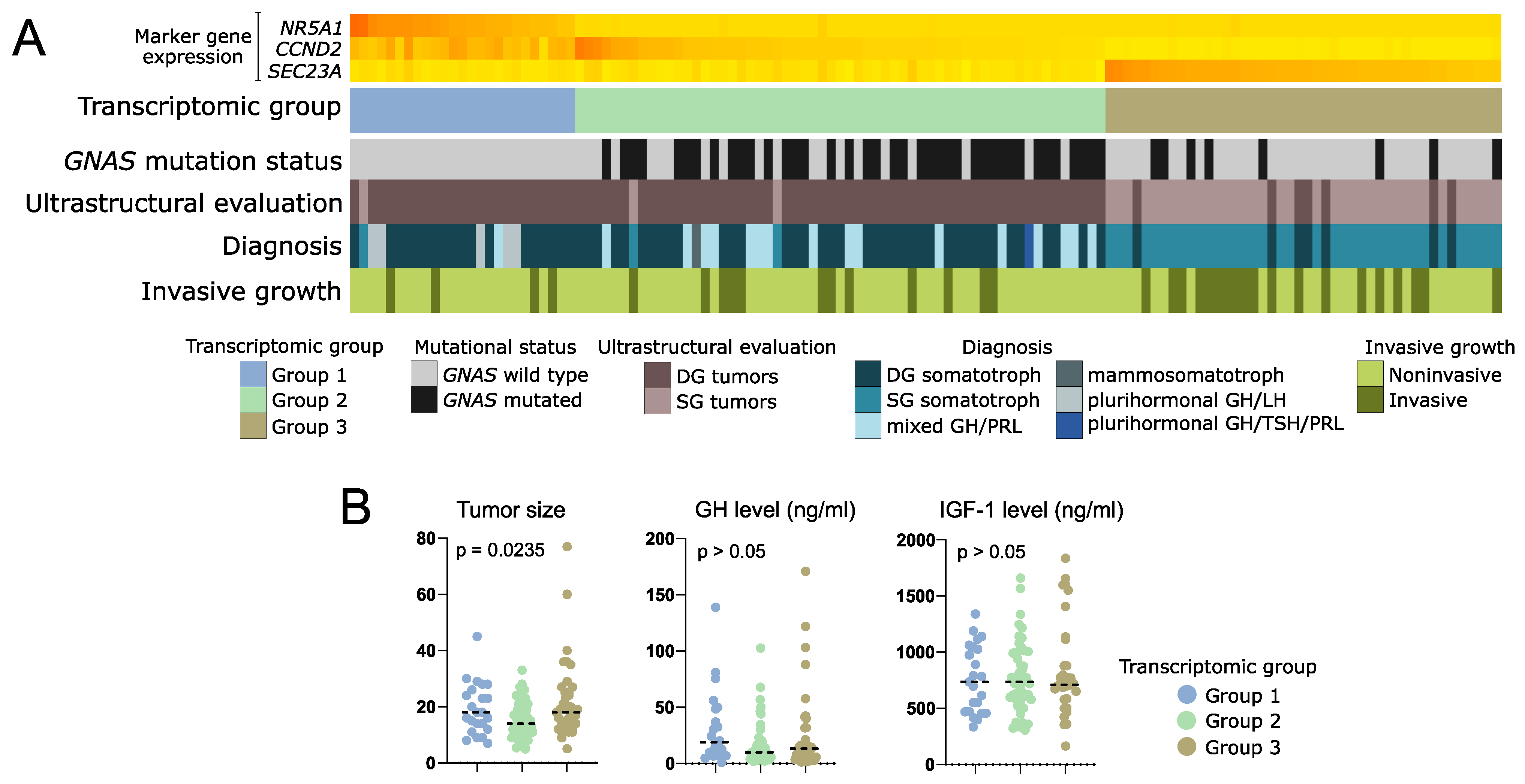 Cells 11 03846 g007 Cells 11 03846 g007