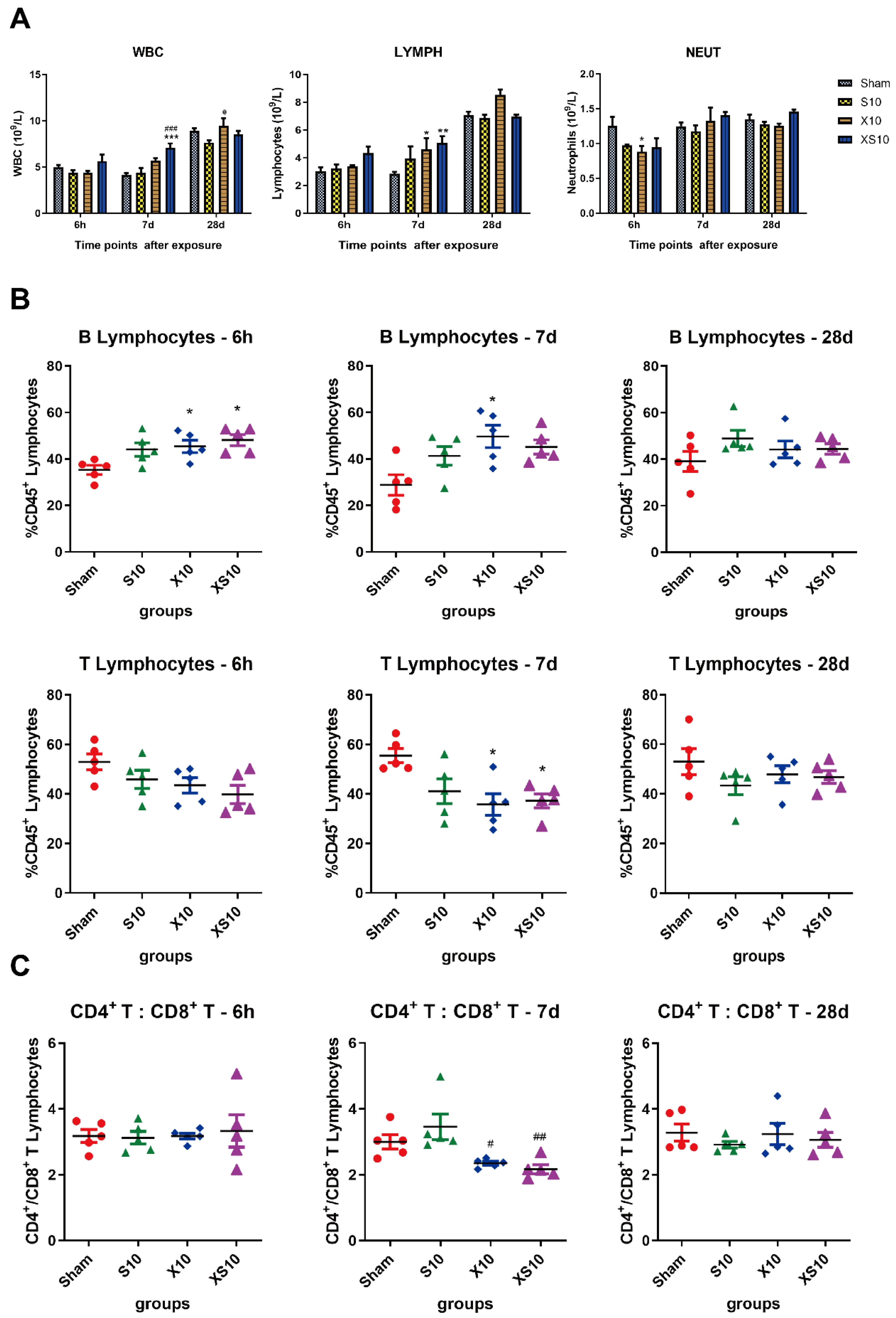 Cells 11 03849 g002 Cells 11 03849 g002