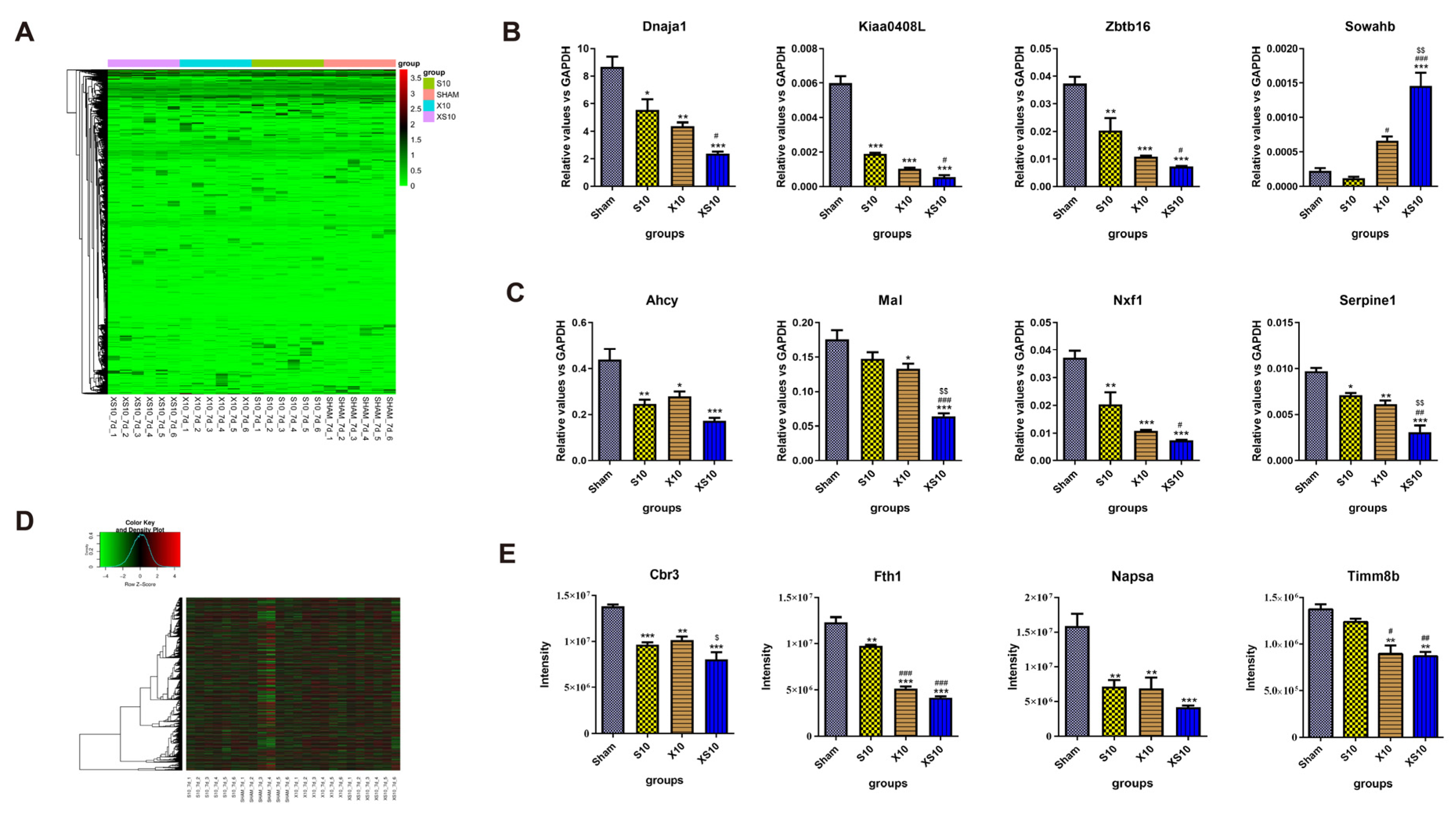 Cells 11 03849 g005 Cells 11 03849 g005