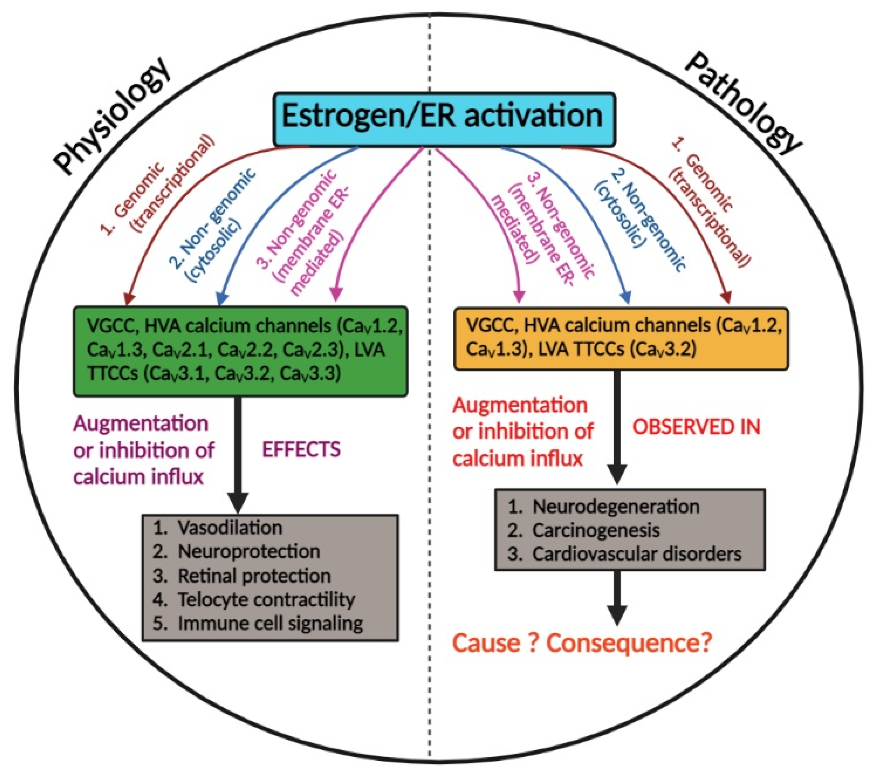 Cells 11 03850 g001 Cells 11 03850 g001