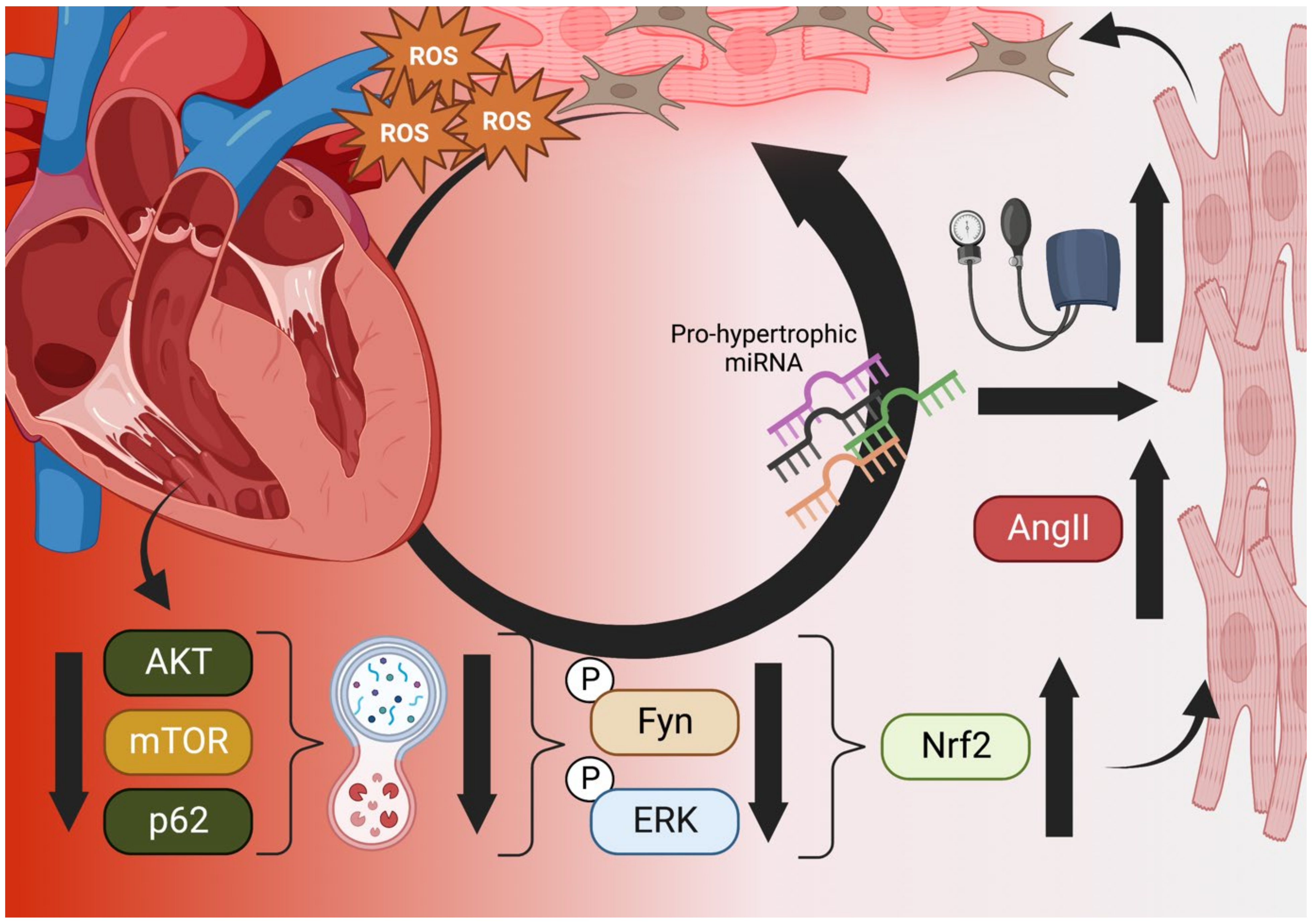 Cells 11 03855 g001 Cells 11 03855 g001