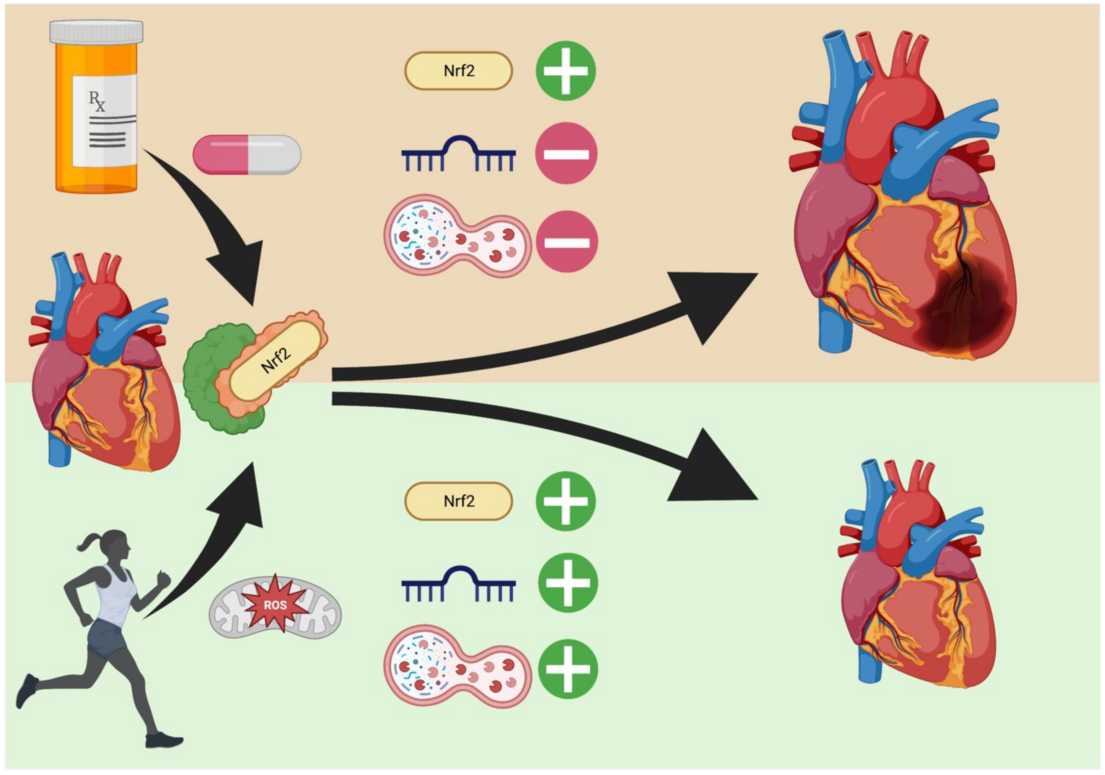 Cells 11 03855 g002 Cells 11 03855 g002