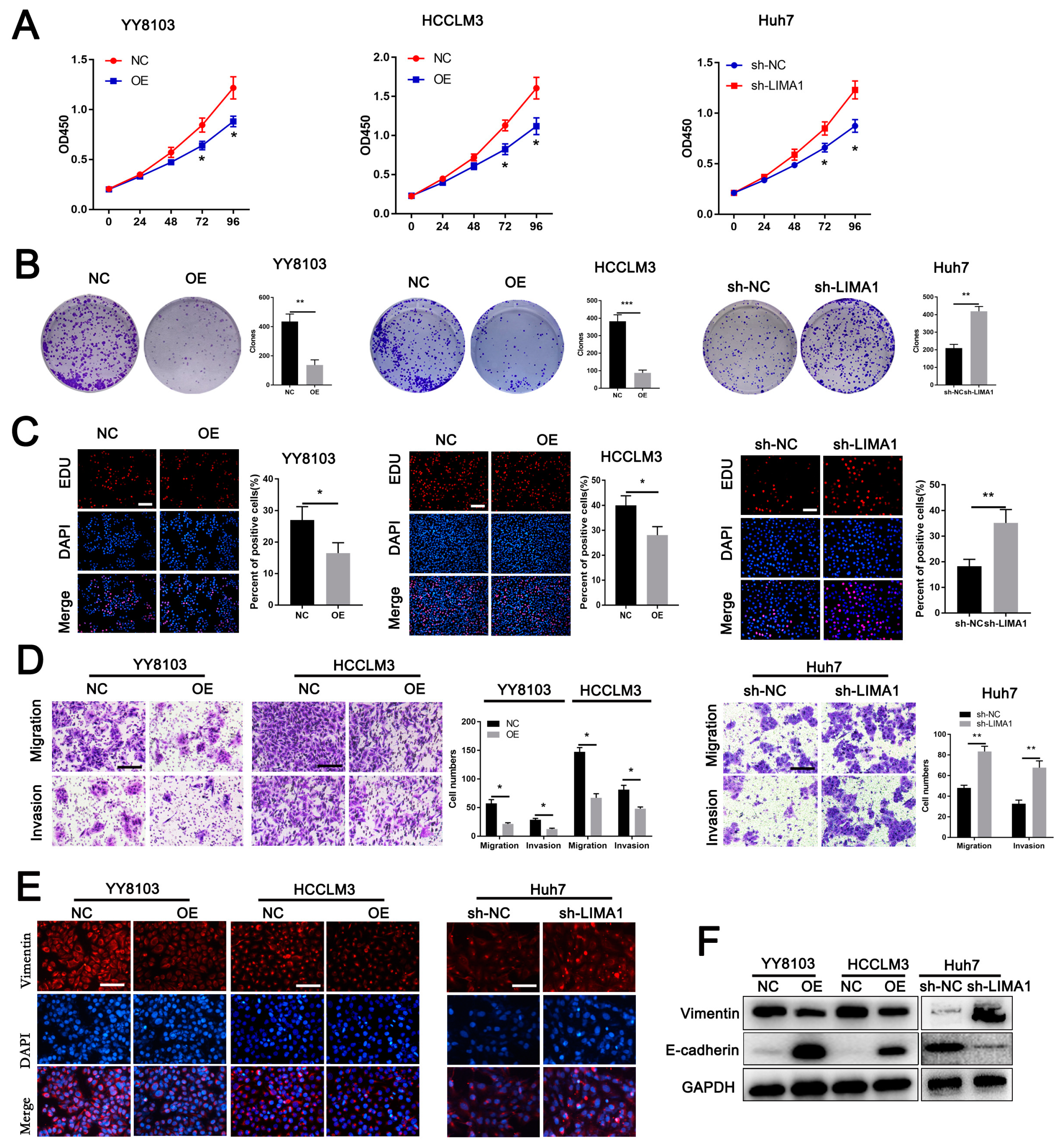 Cells 11 03857 g002 Cells 11 03857 g002