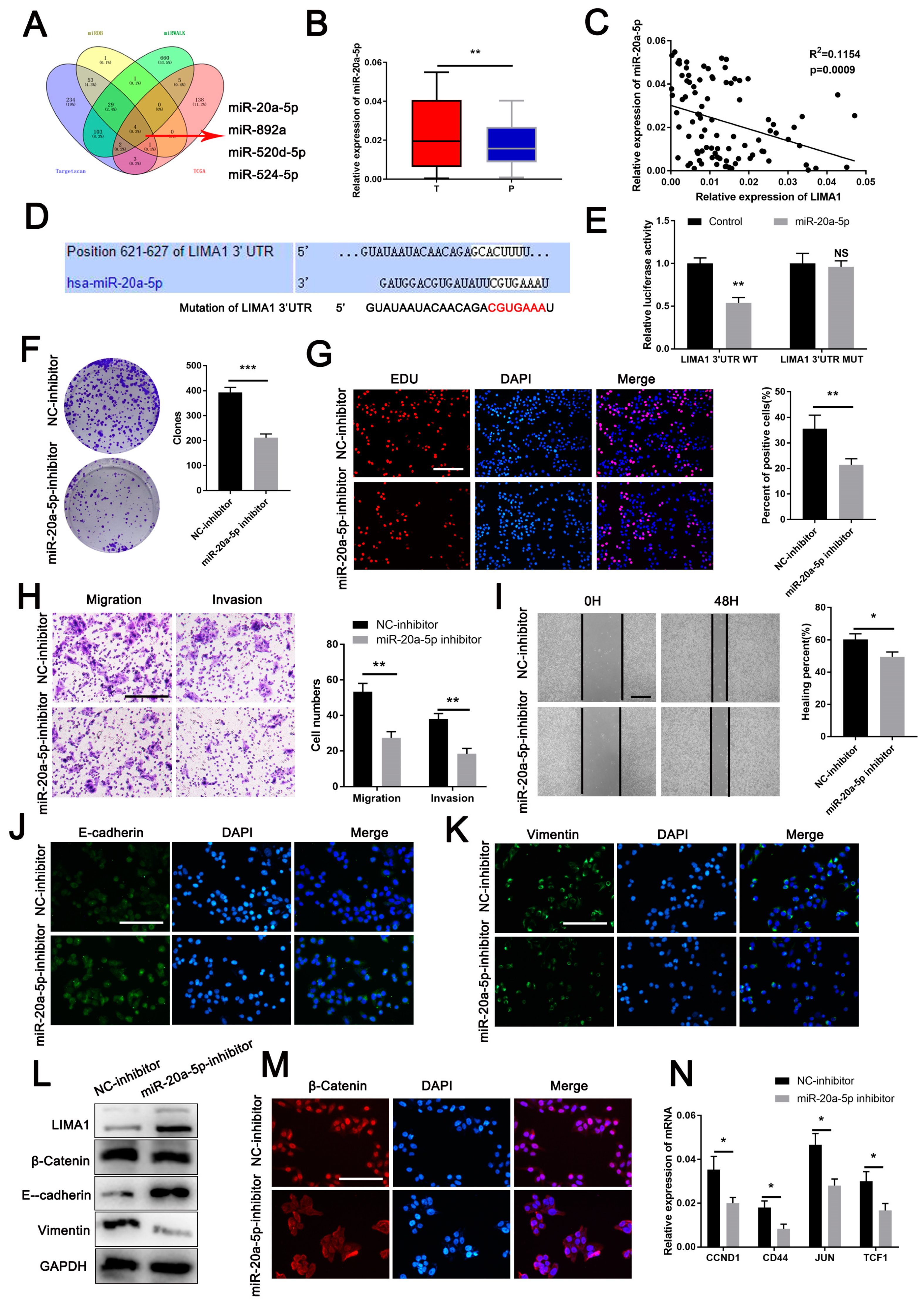 Cells 11 03857 g005 Cells 11 03857 g005