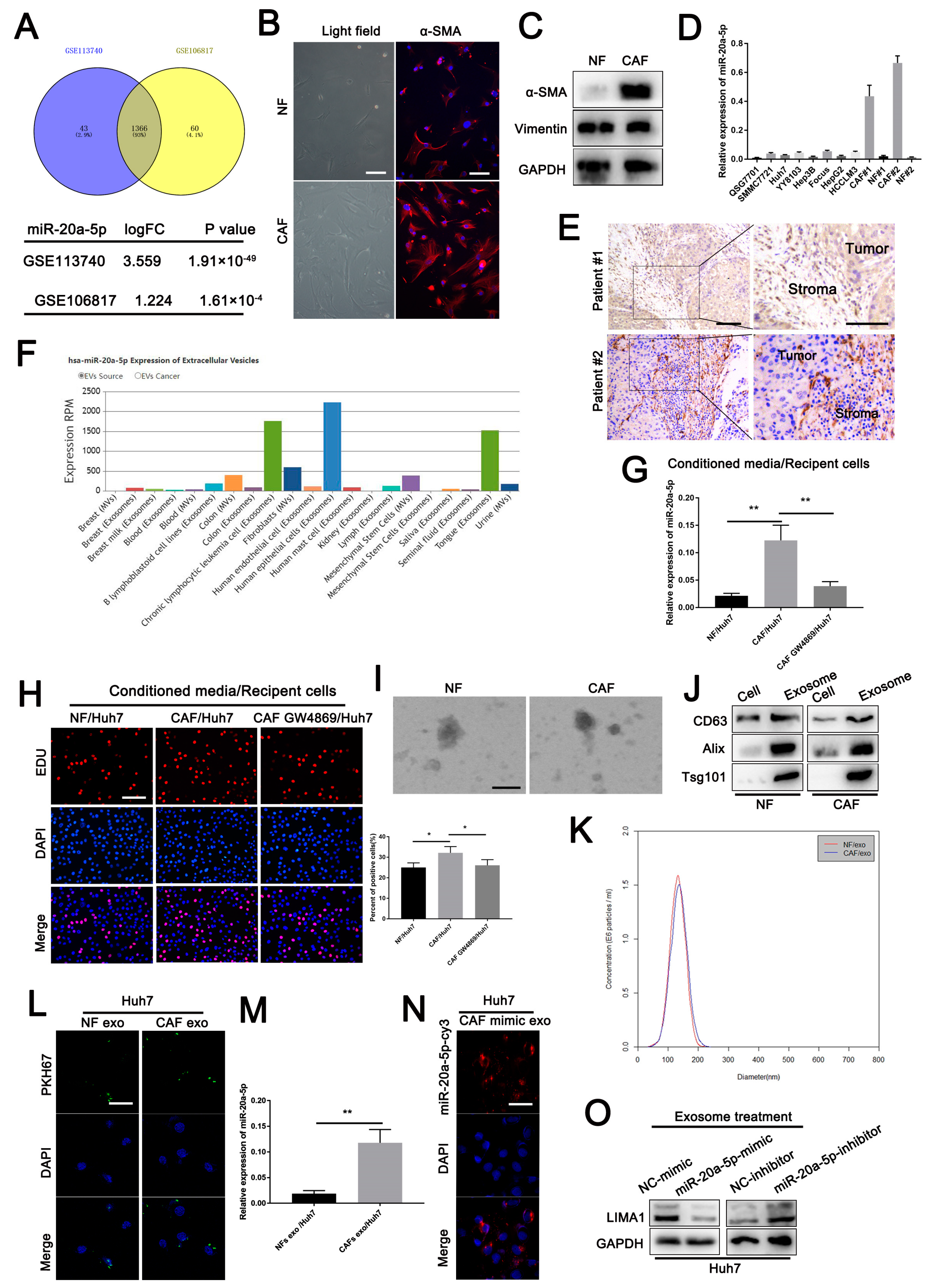 Cells 11 03857 g006 Cells 11 03857 g006