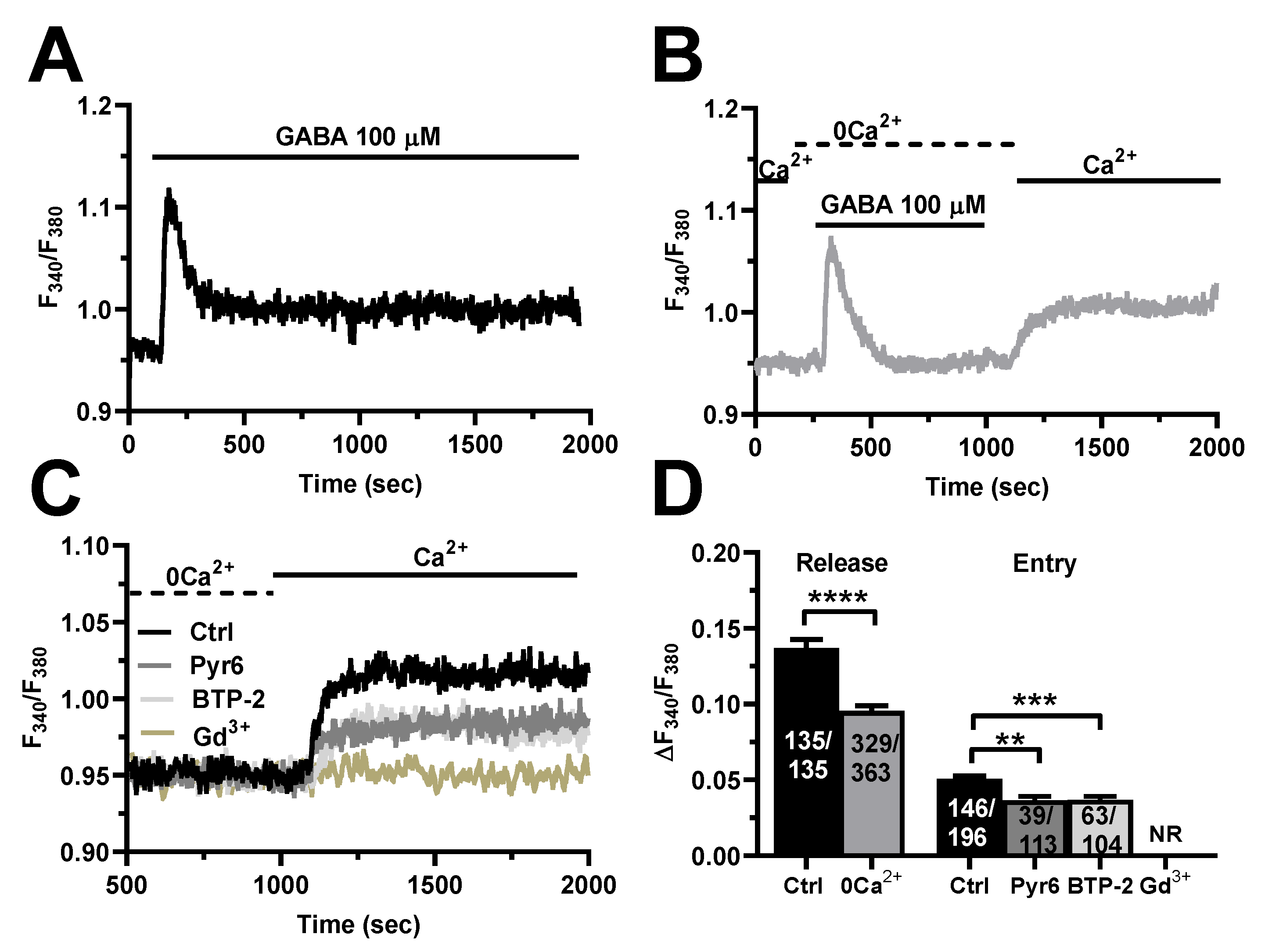 Cells 11 03860 g003 Cells 11 03860 g003