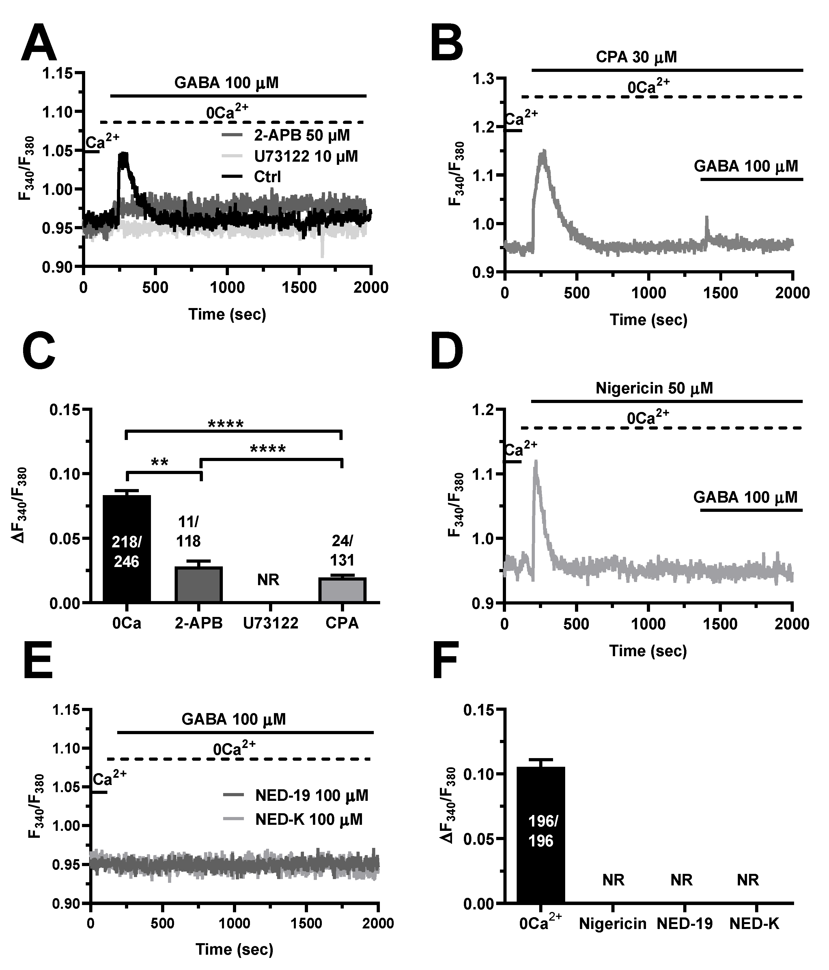 Cells 11 03860 g004 Cells 11 03860 g004