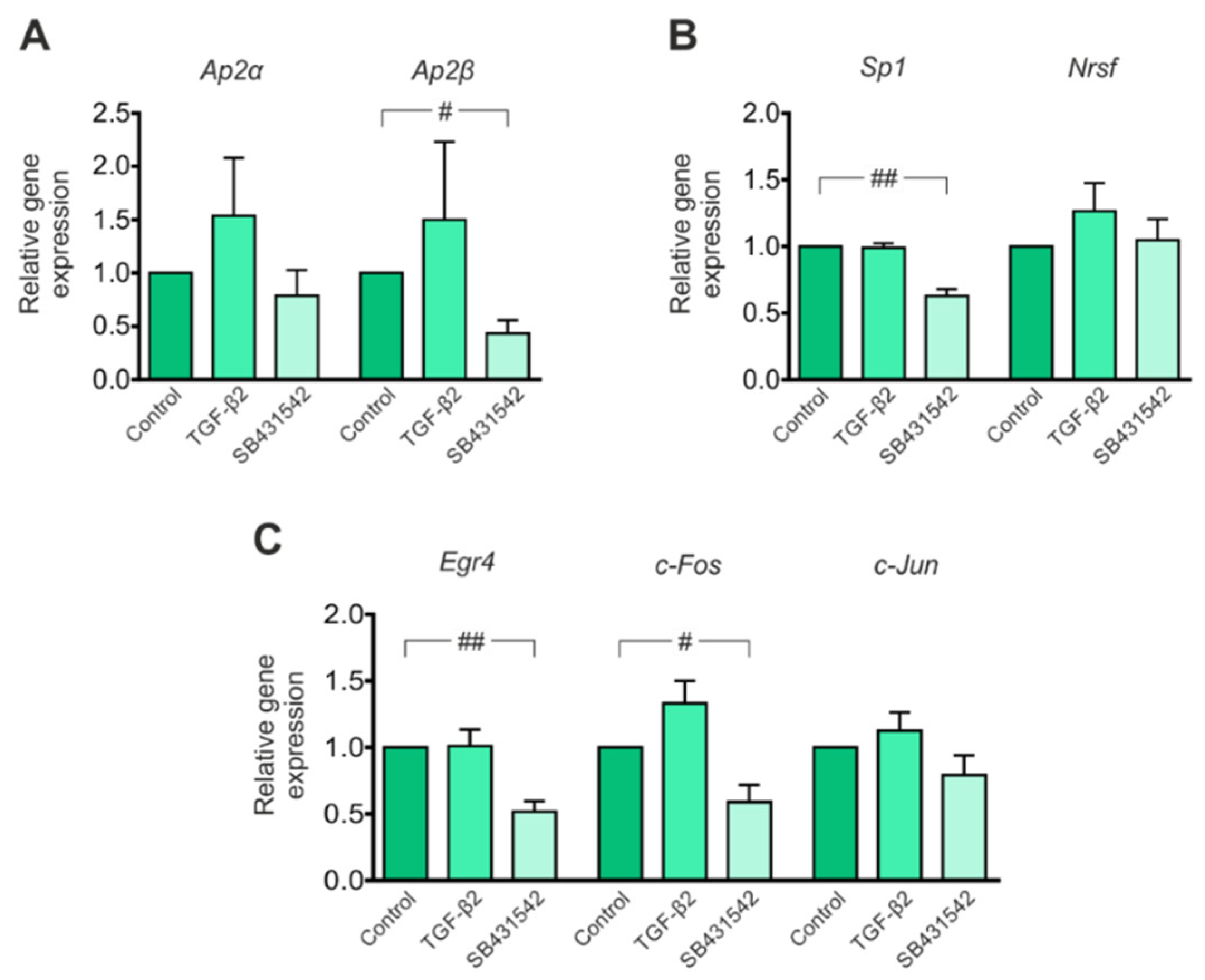 Cells 11 03861 g002 Cells 11 03861 g002