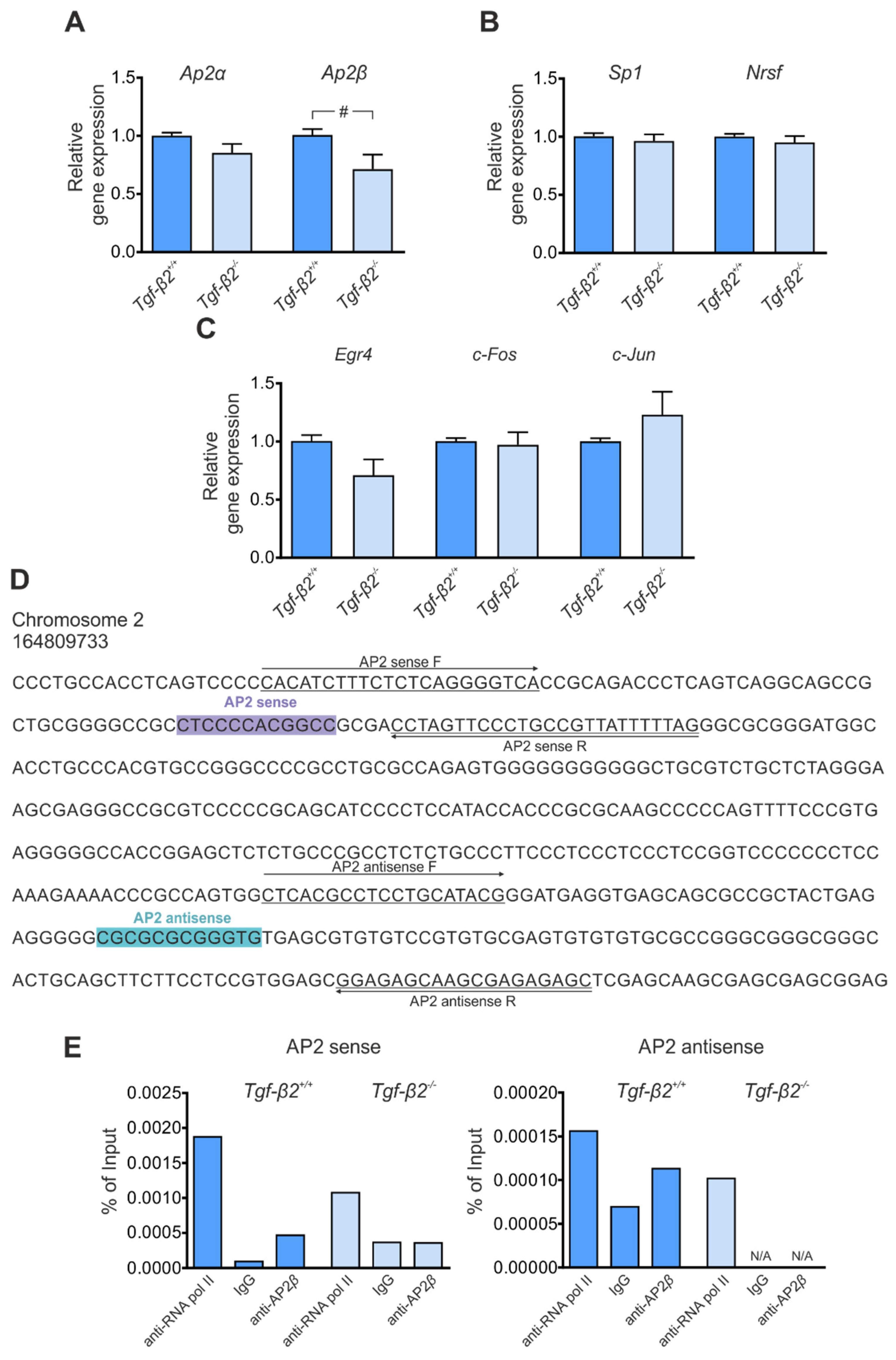Cells 11 03861 g004 Cells 11 03861 g004