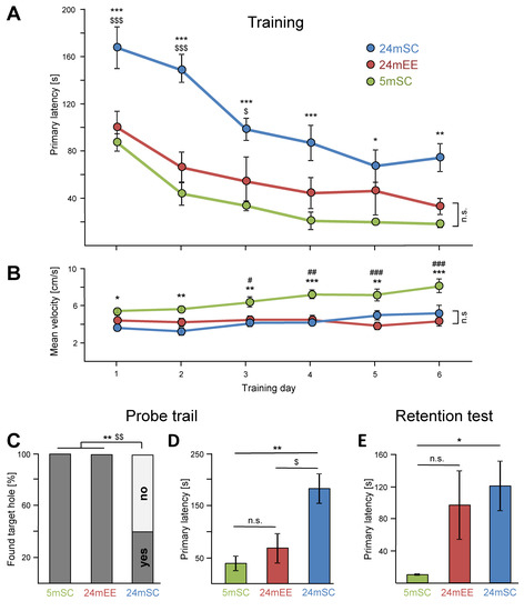 Cells | Free Full-Text | Restoring Age-Related Cognitive Decline 