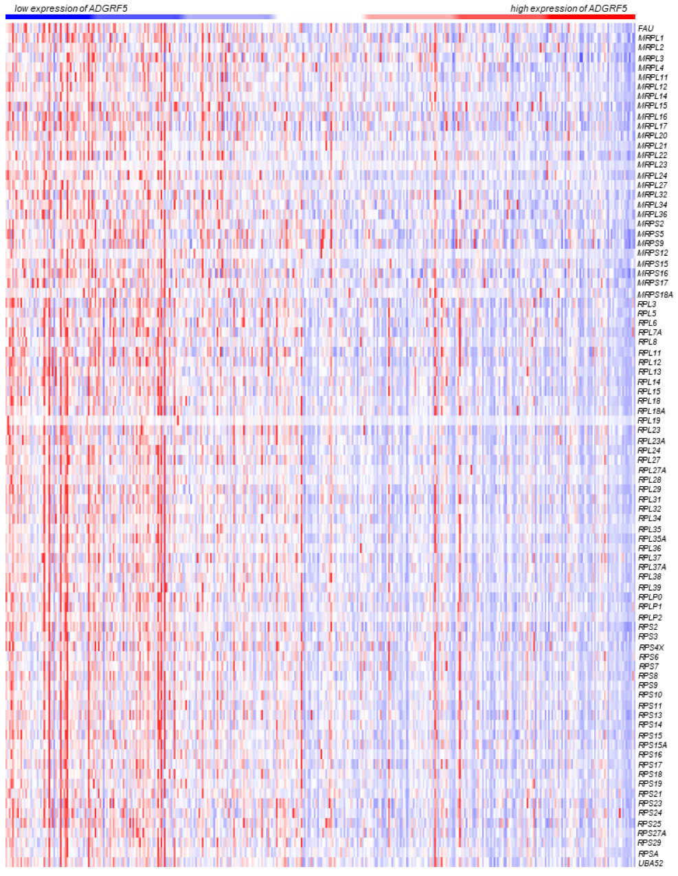 Cells 11 03876 g004 Cells 11 03876 g004