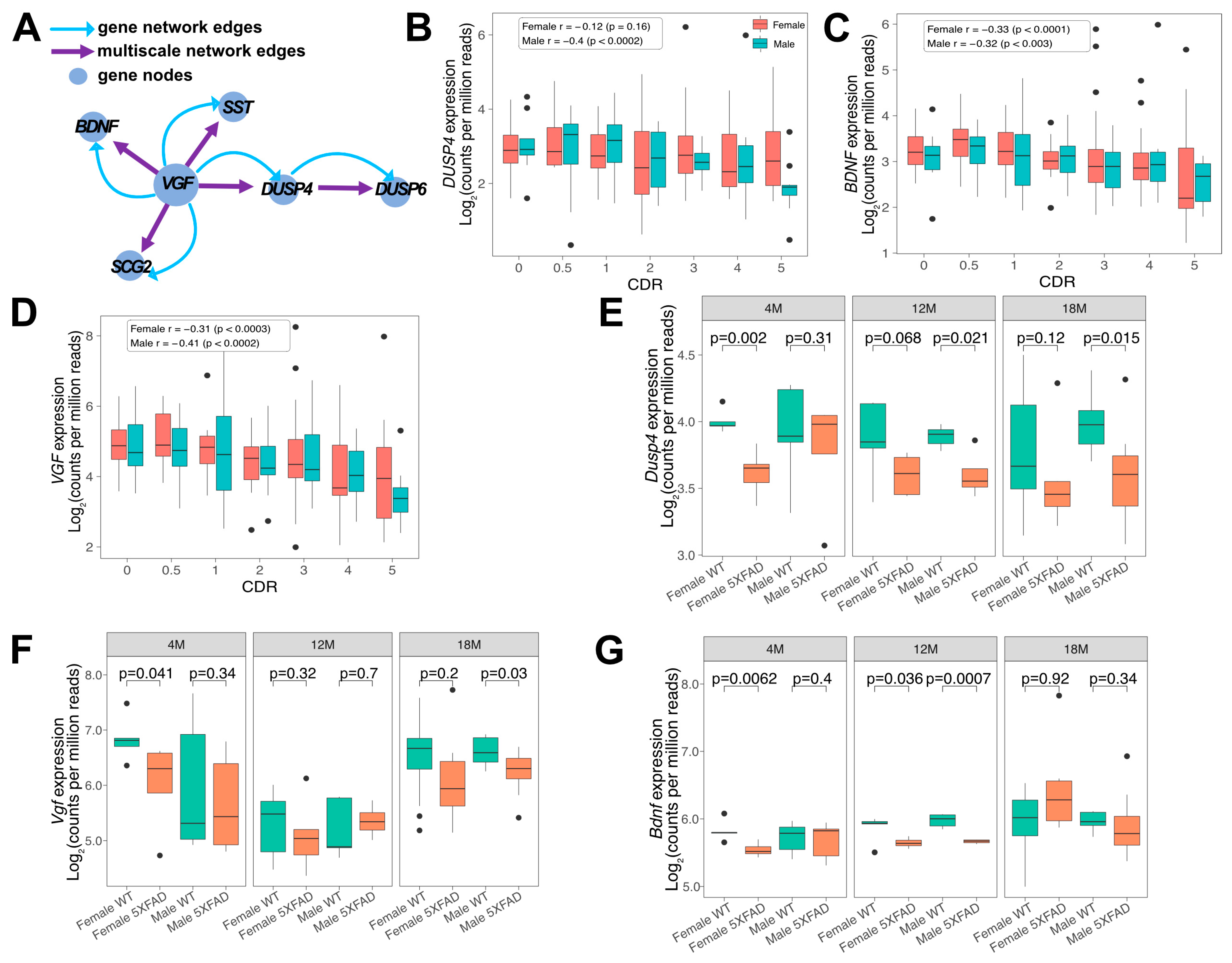 Cells 11 03880 g001 Cells 11 03880 g001