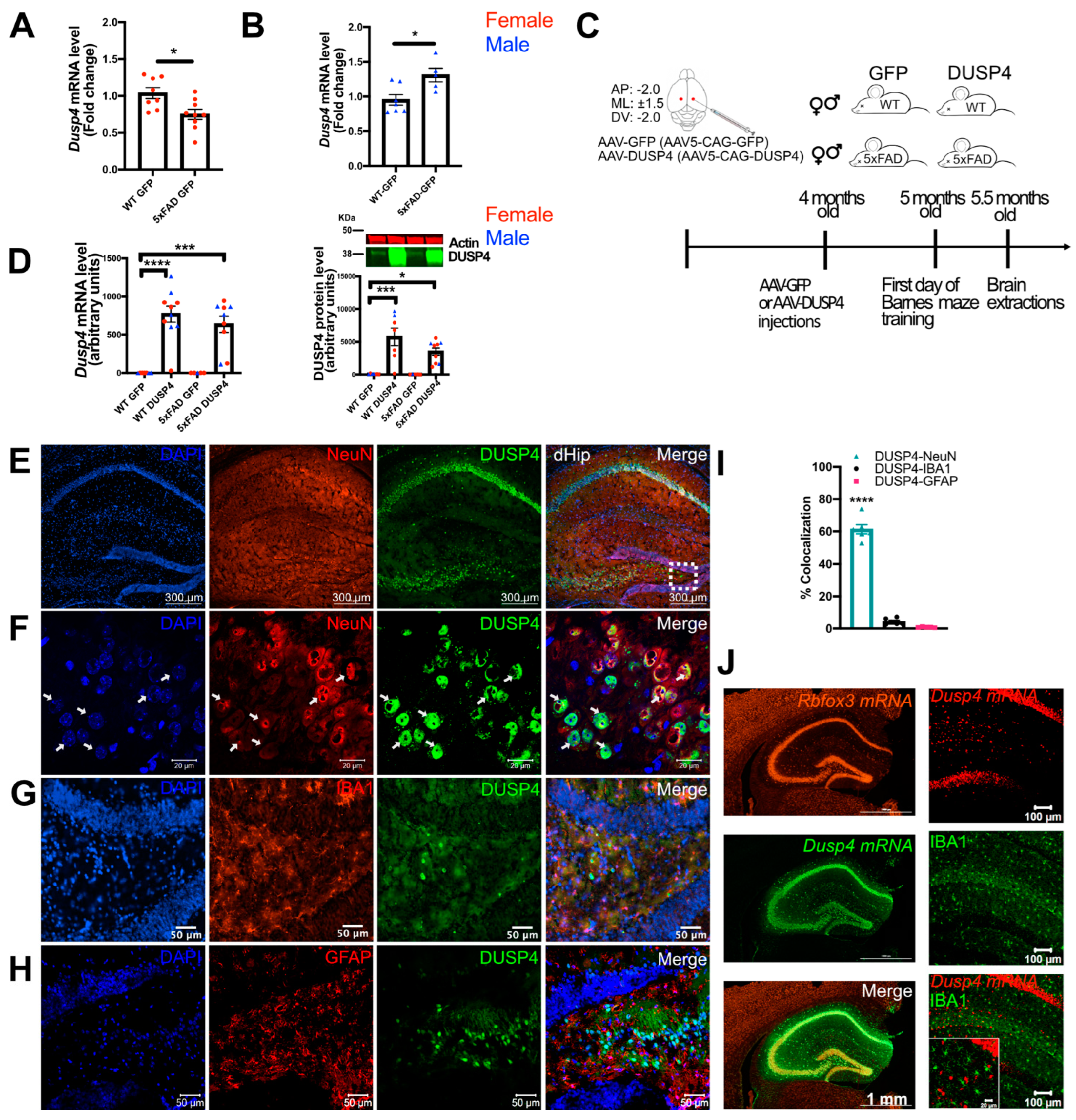 Cells 11 03880 g002 Cells 11 03880 g002