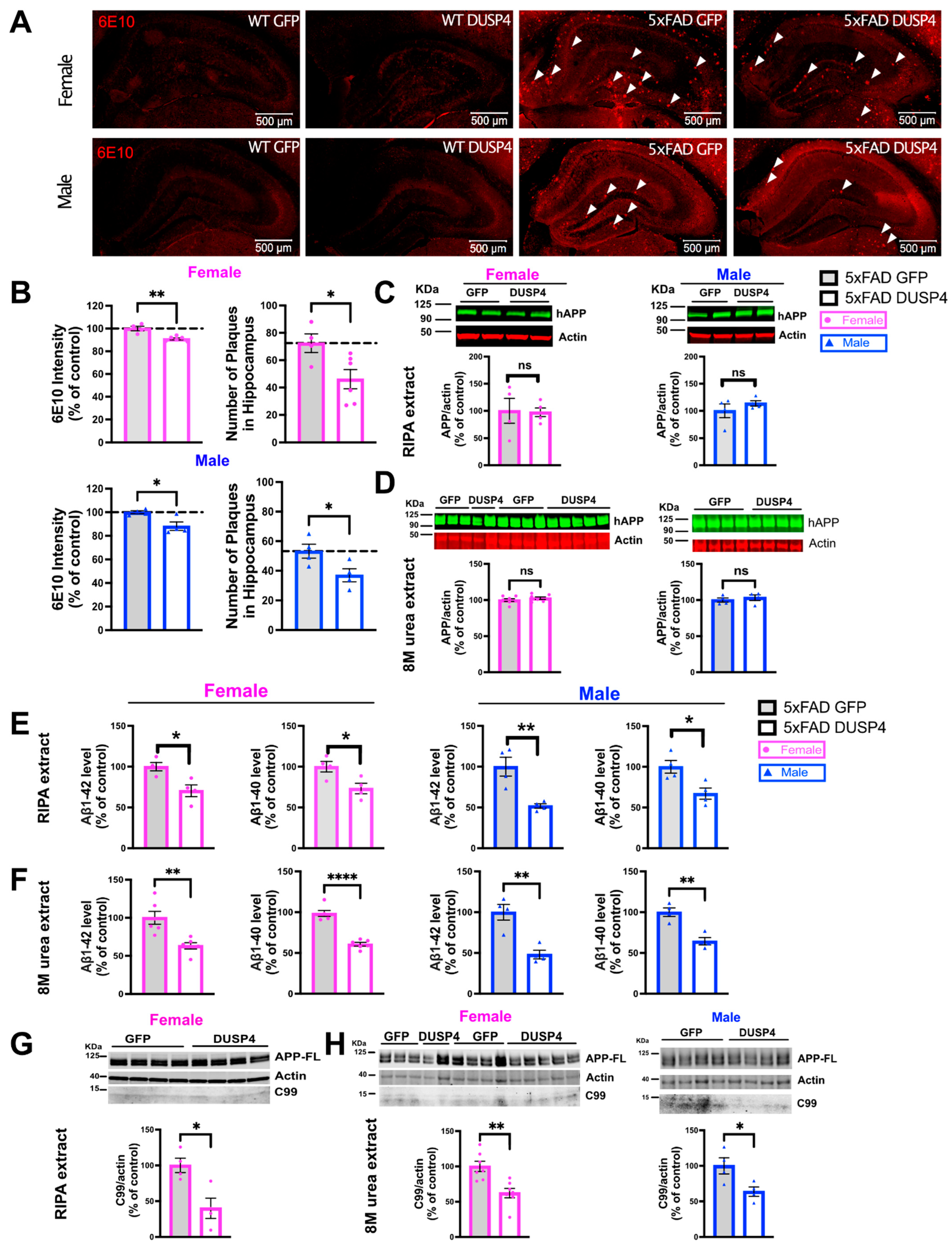 Cells 11 03880 g004 Cells 11 03880 g004