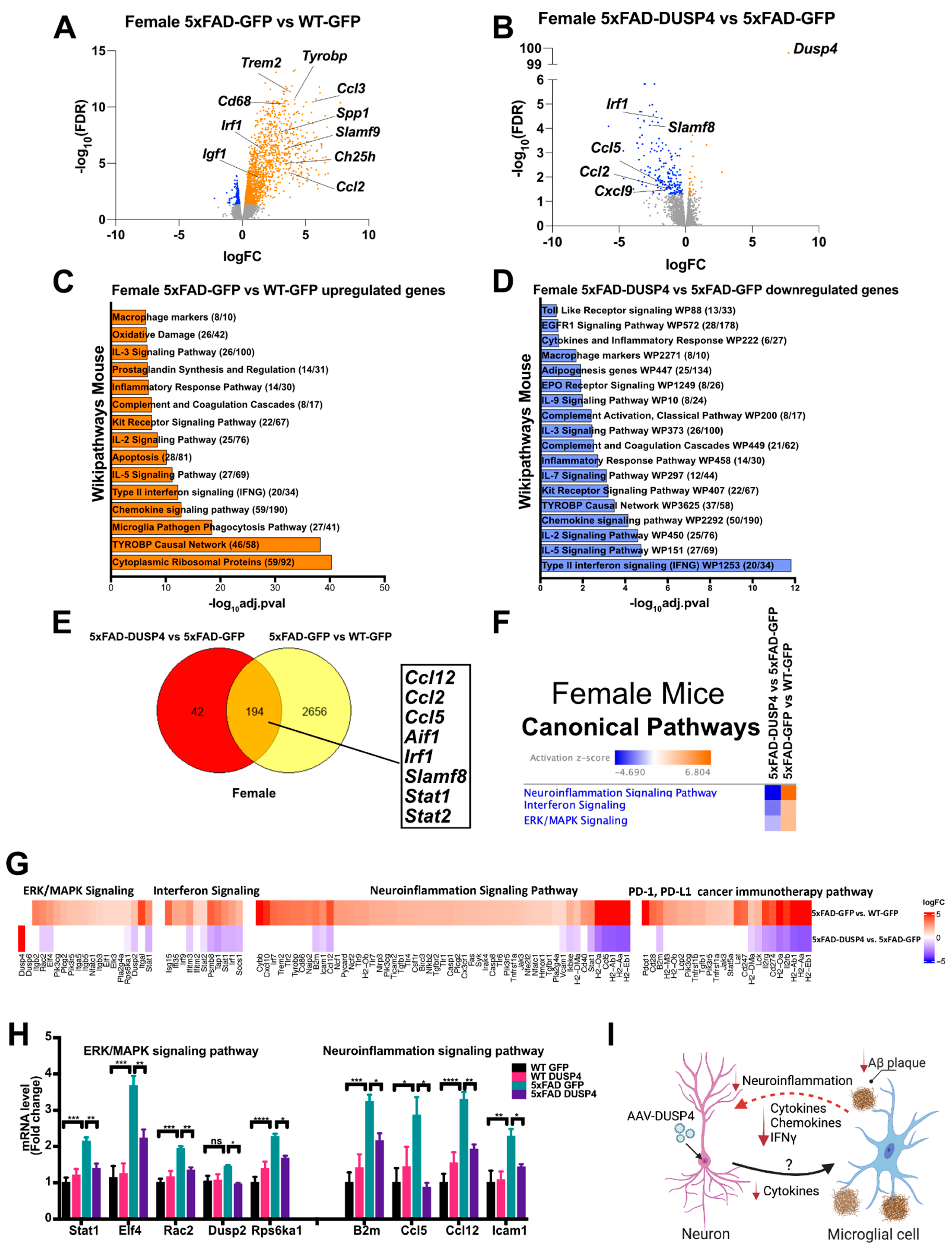 Cells 11 03880 g005 Cells 11 03880 g005