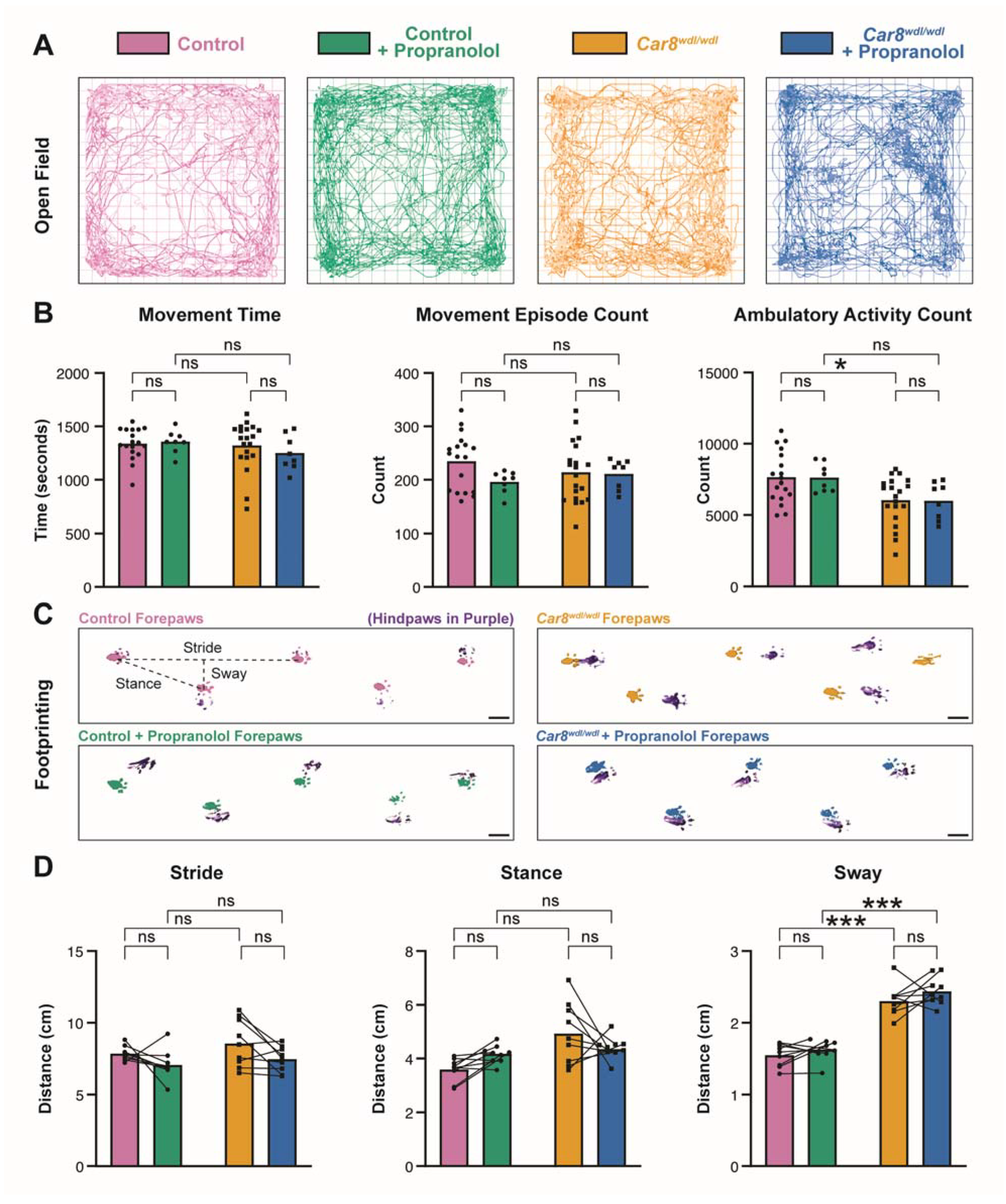 Cells 11 03889 g002 Cells 11 03889 g002