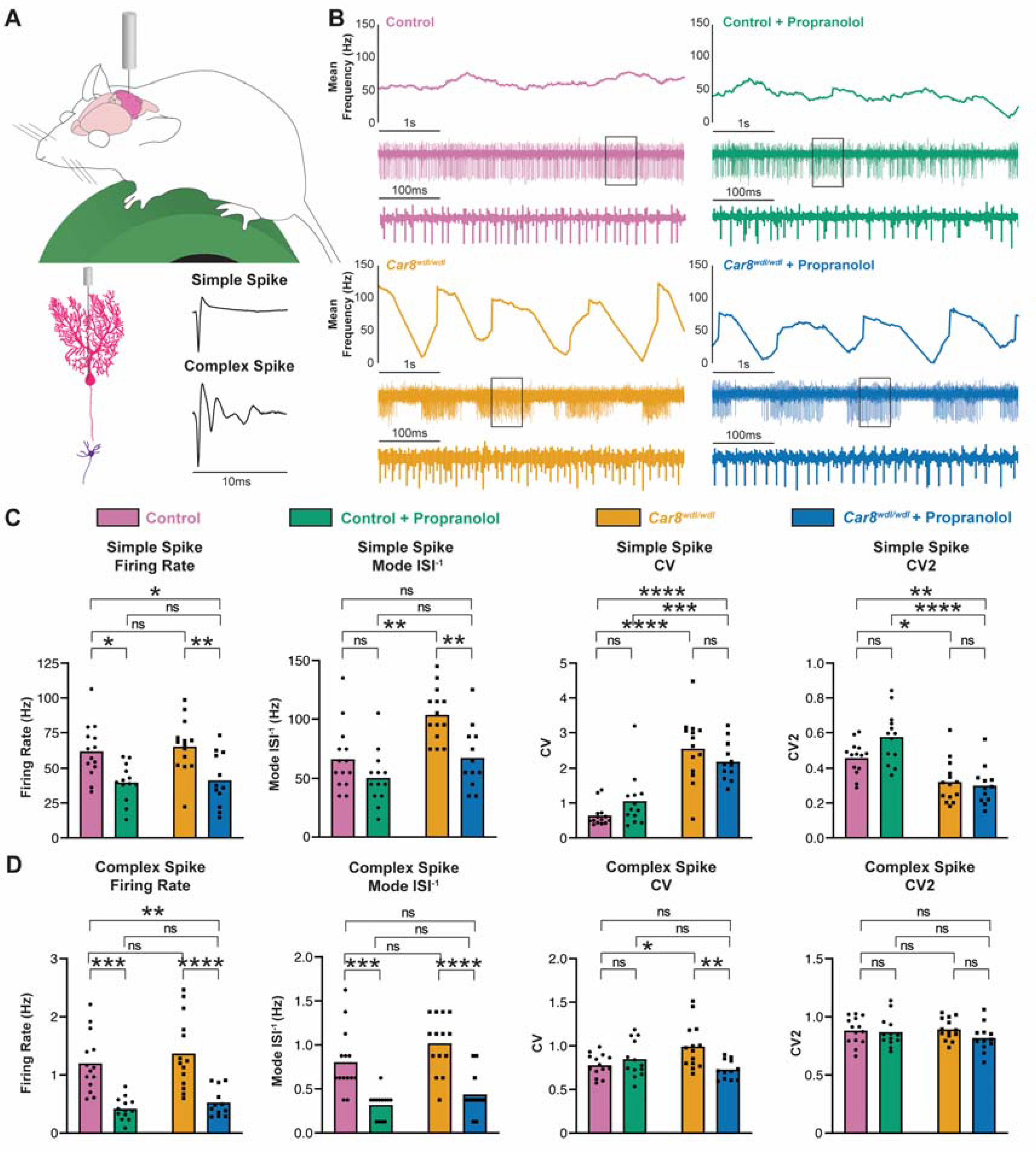 Cells 11 03889 g003 Cells 11 03889 g003