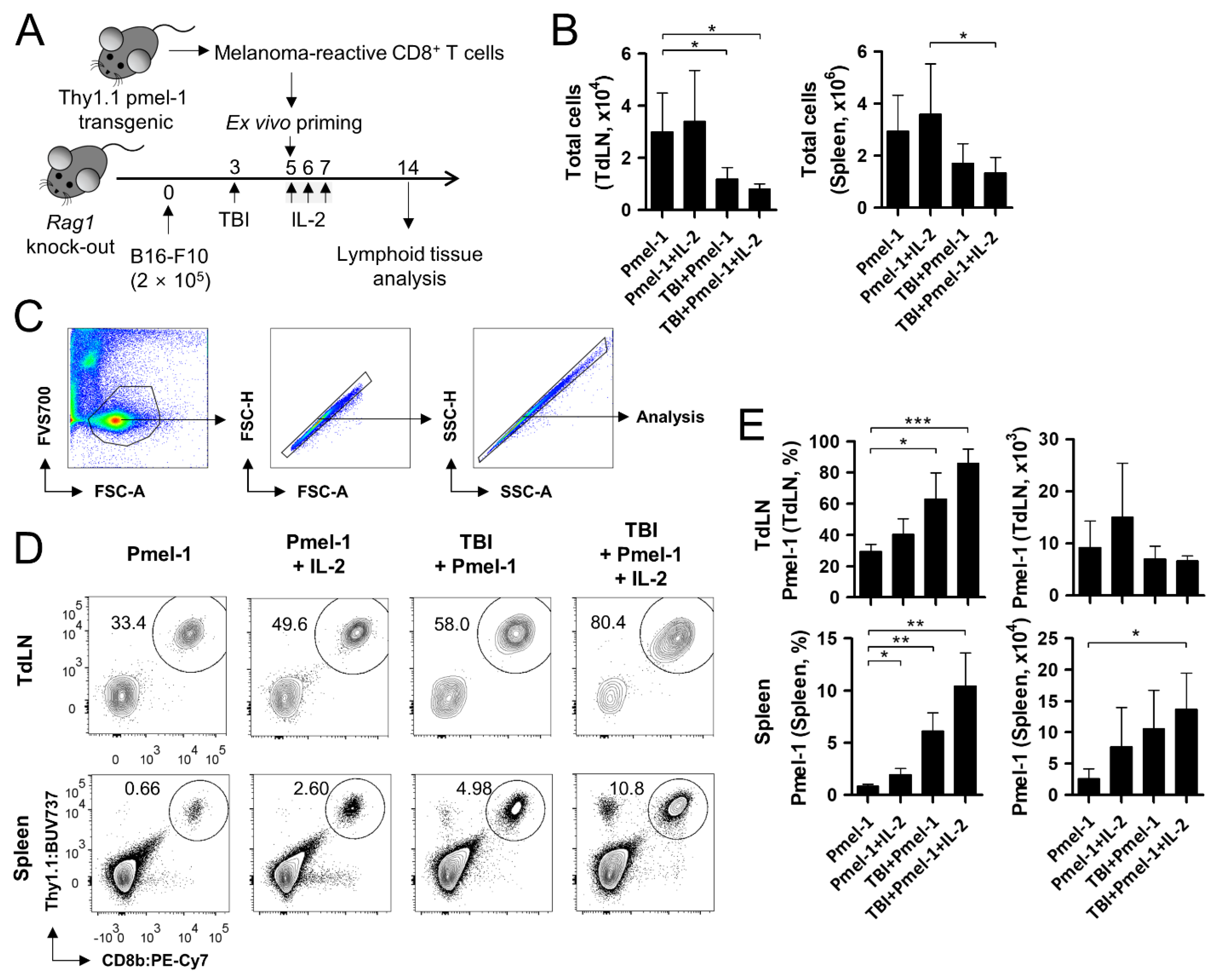 Cells 11 03894 g002 Cells 11 03894 g002