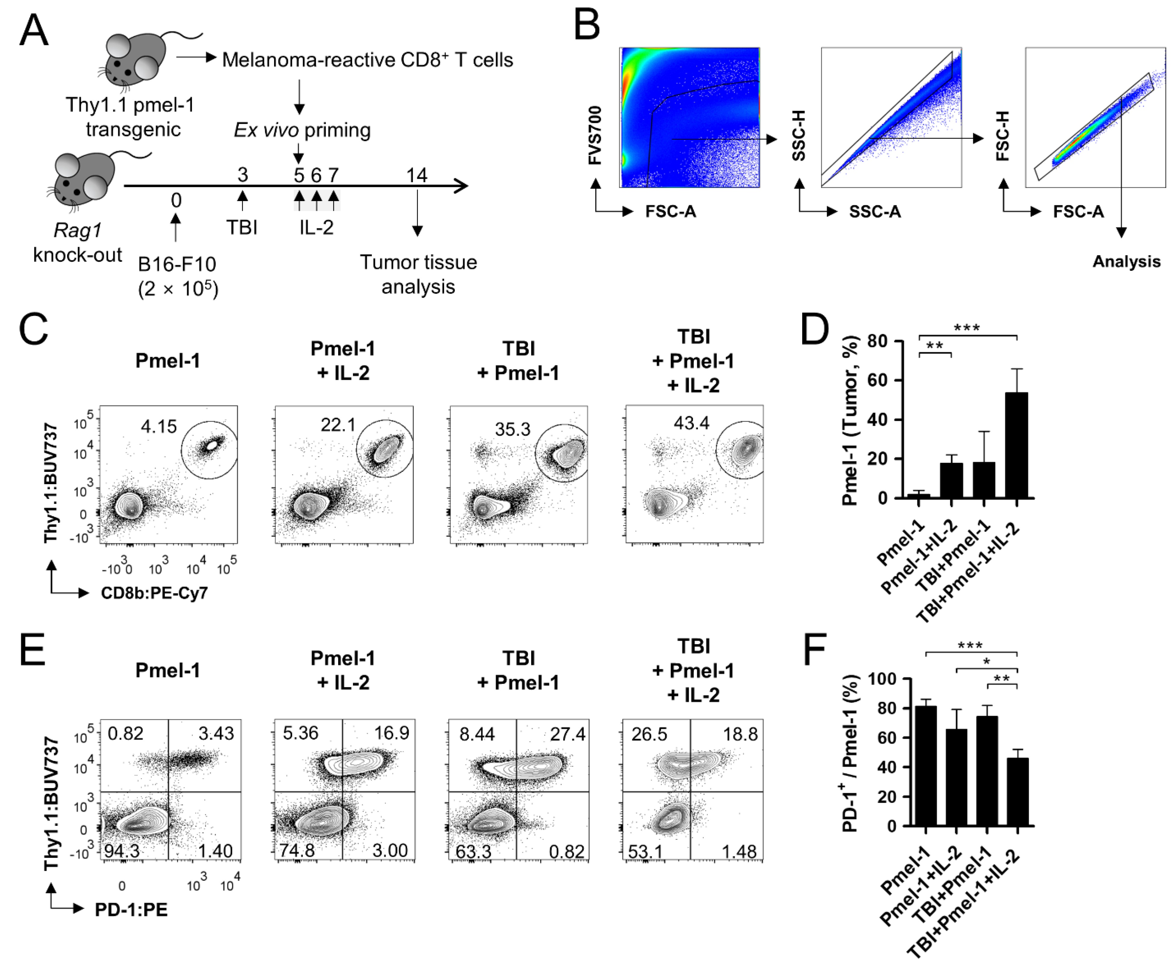 Cells 11 03894 g003 Cells 11 03894 g003