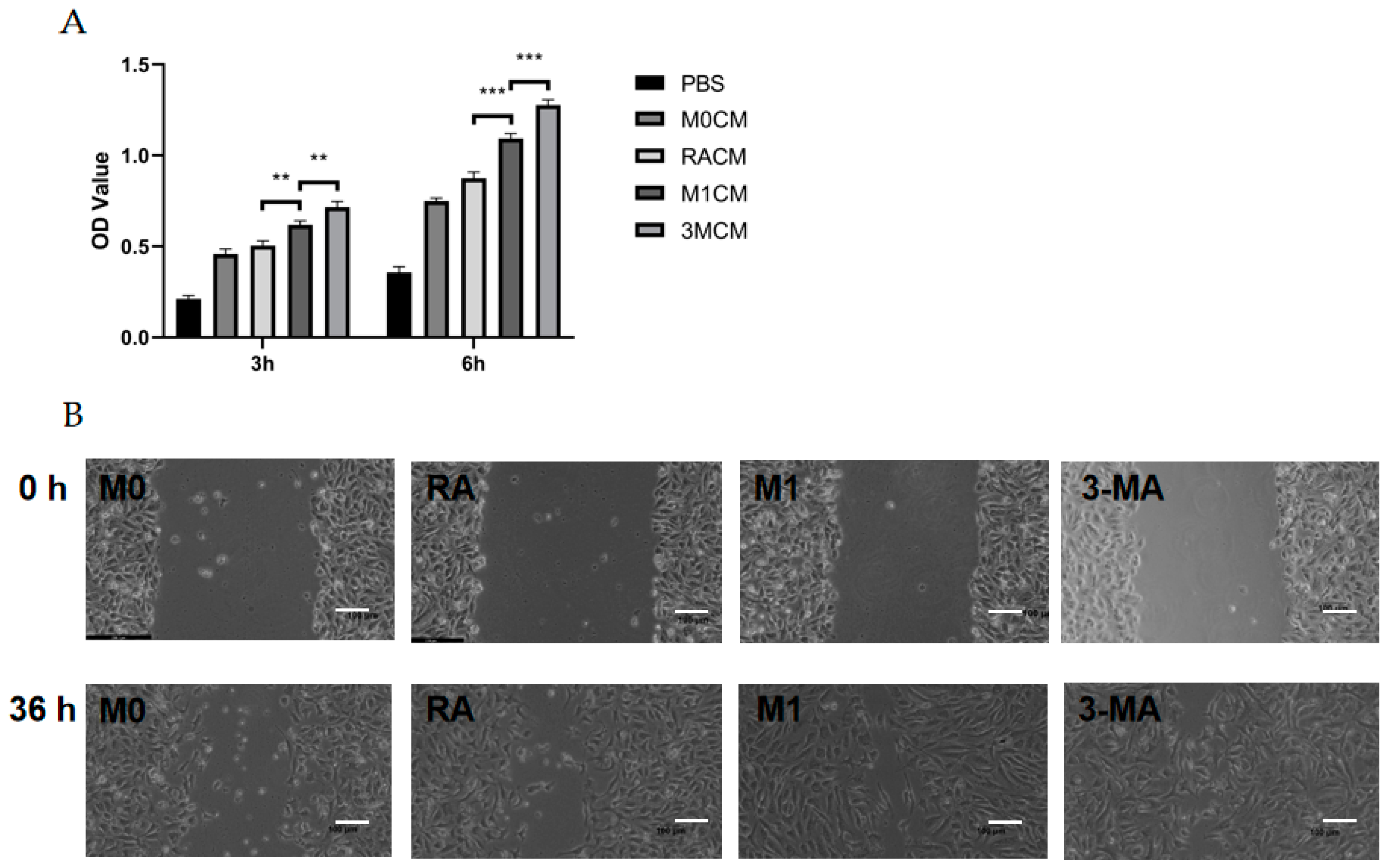 Cells 11 03895 g004a