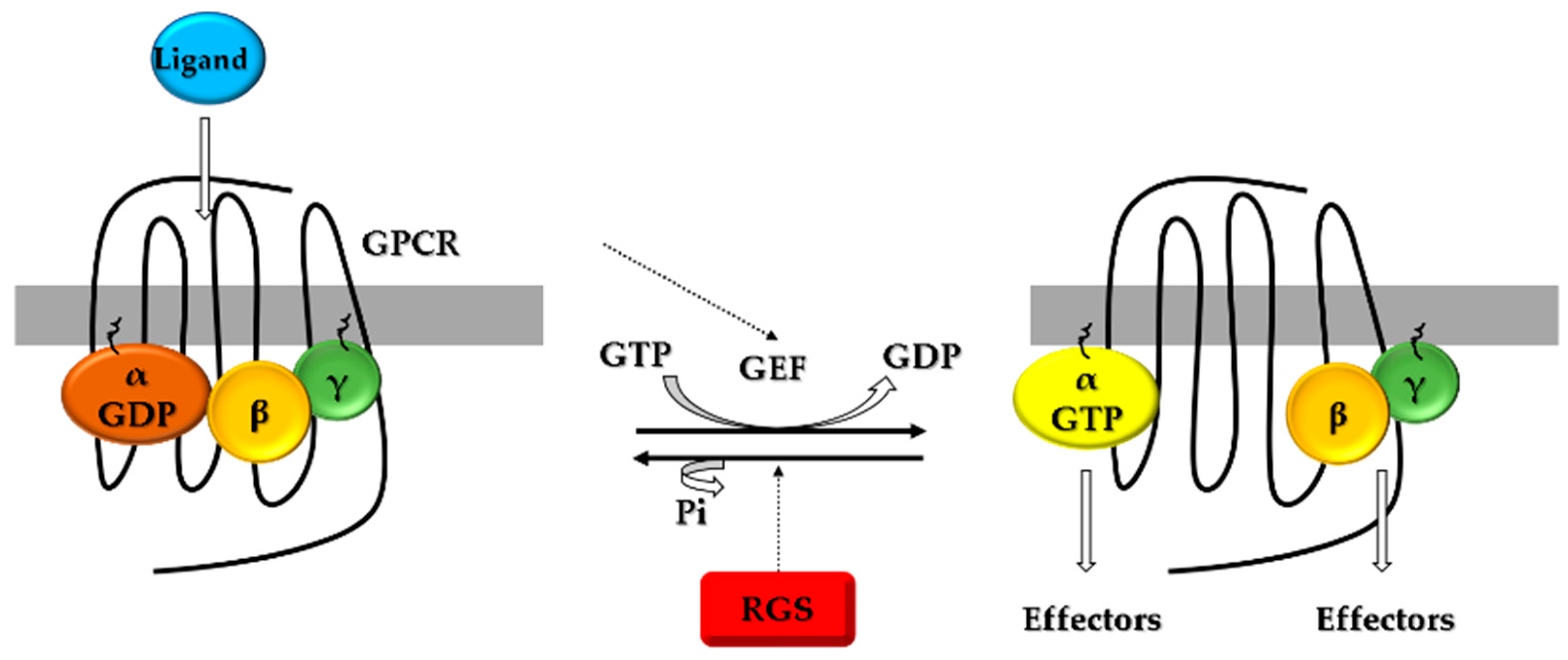 Cells 11 03897 g001 Cells 11 03897 g001