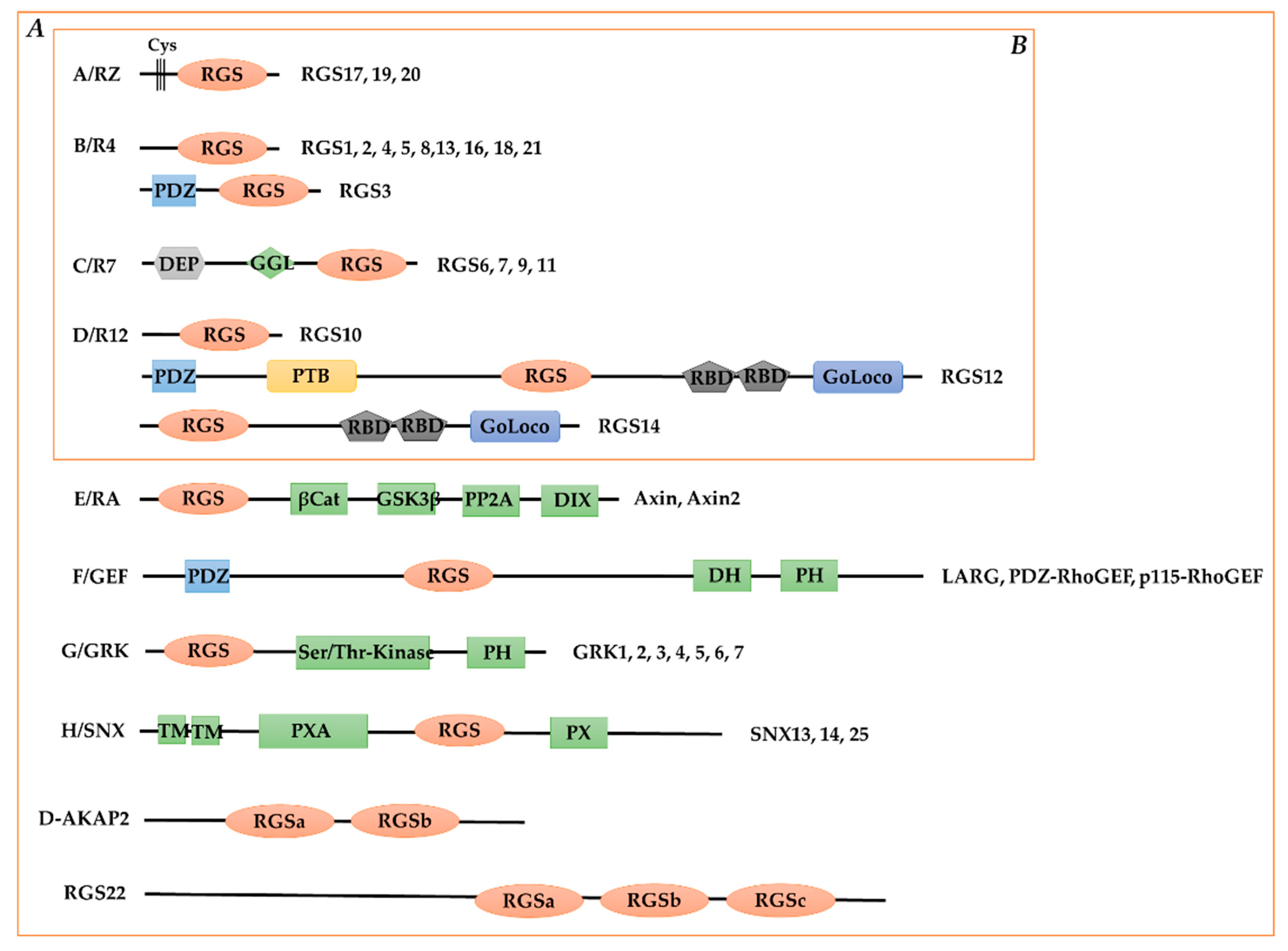 Cells 11 03897 g002 Cells 11 03897 g002