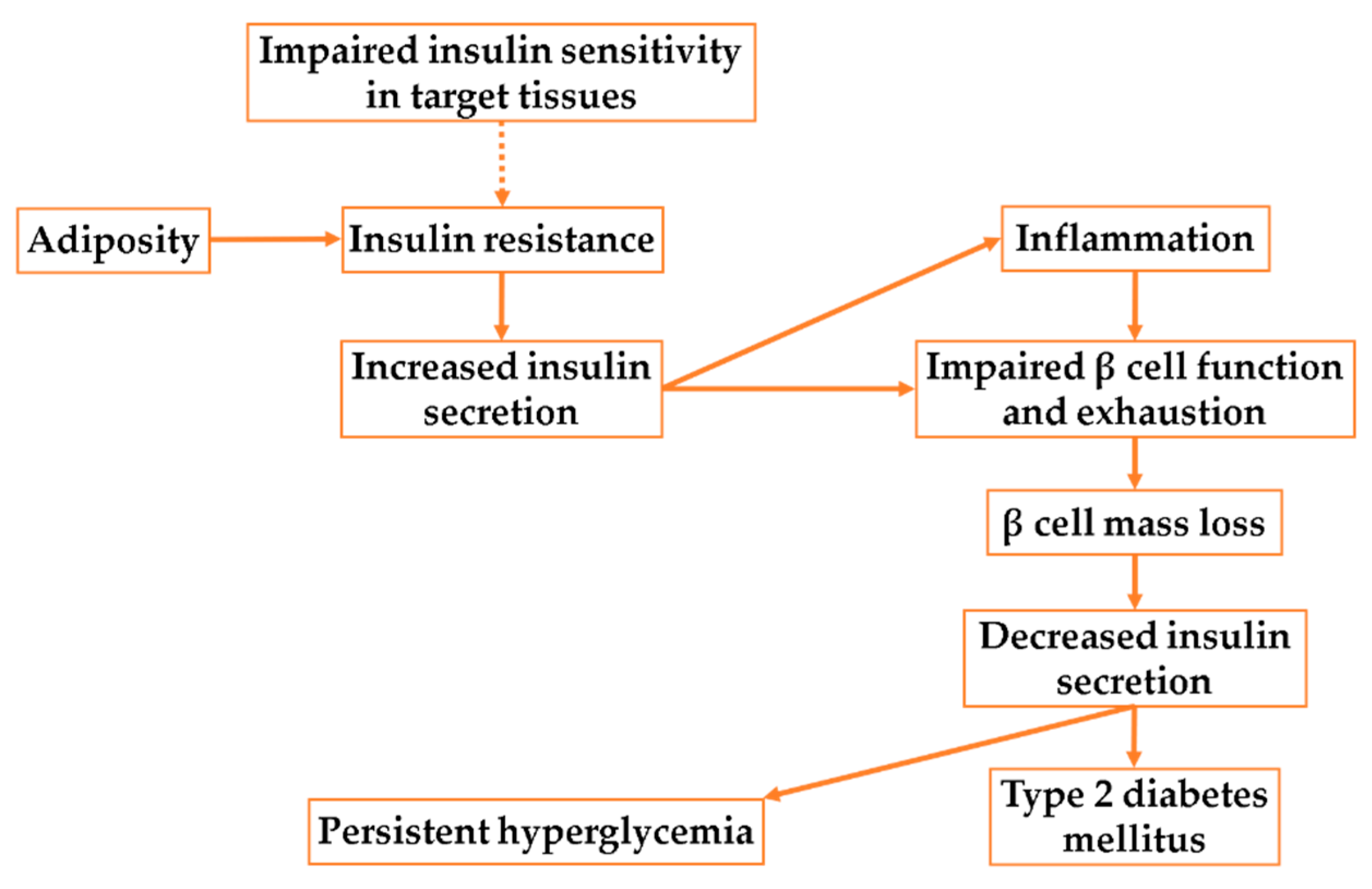 Cells 11 03897 g003 Cells 11 03897 g003