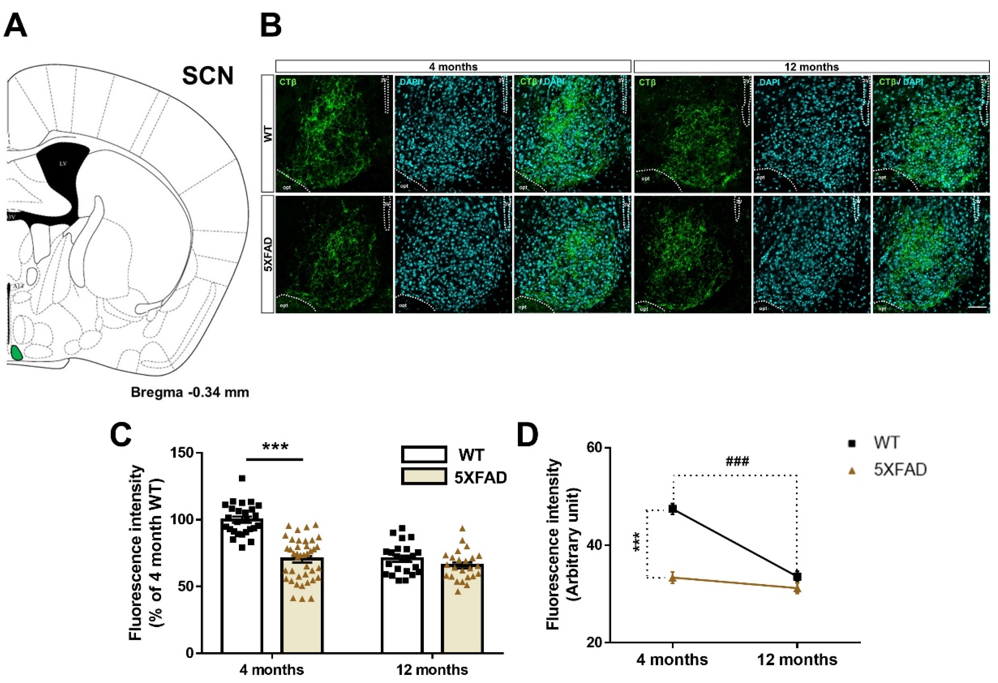 Cells 11 03901 g003 Cells 11 03901 g003