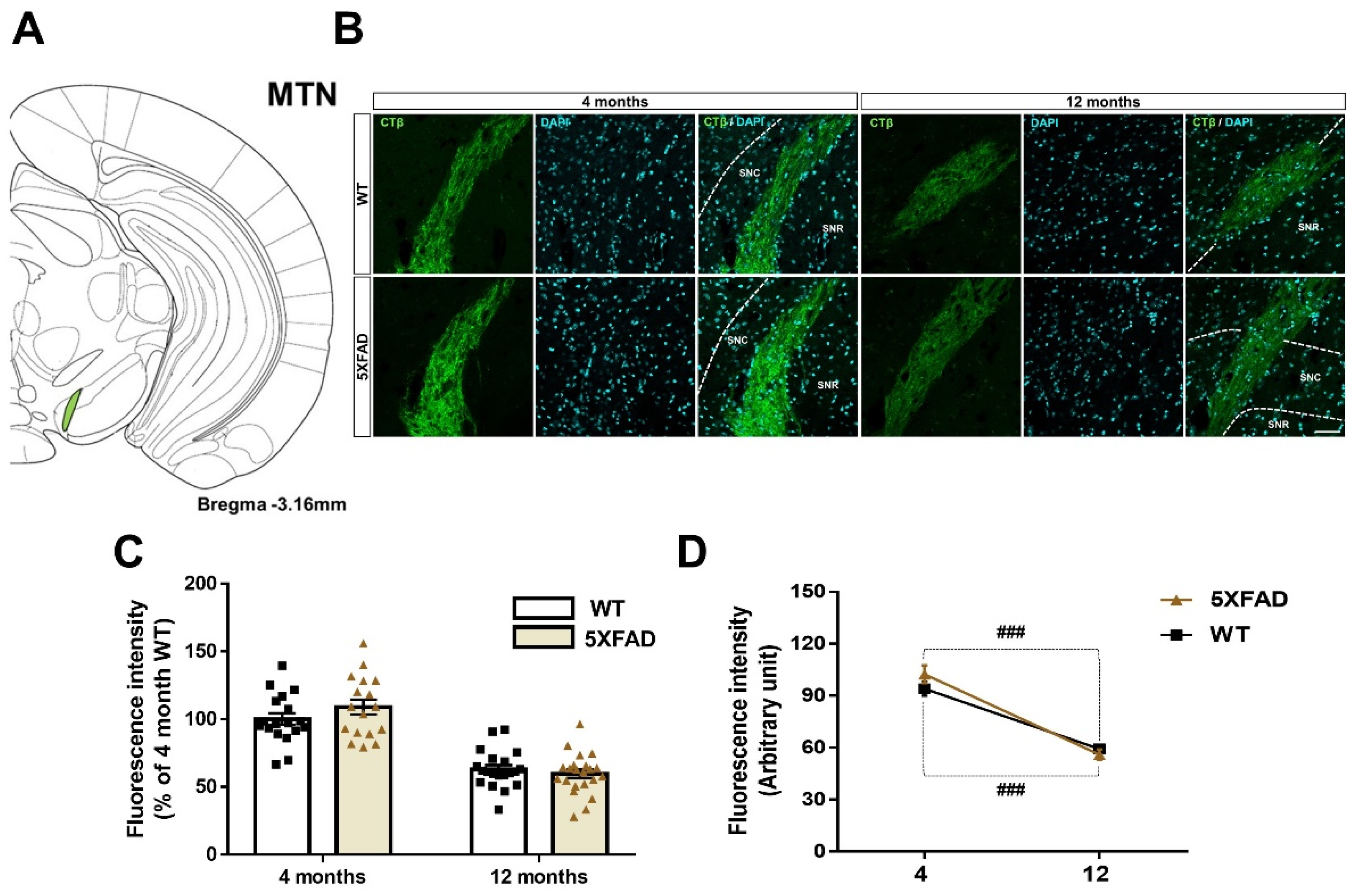 Cells 11 03901 g007 Cells 11 03901 g007