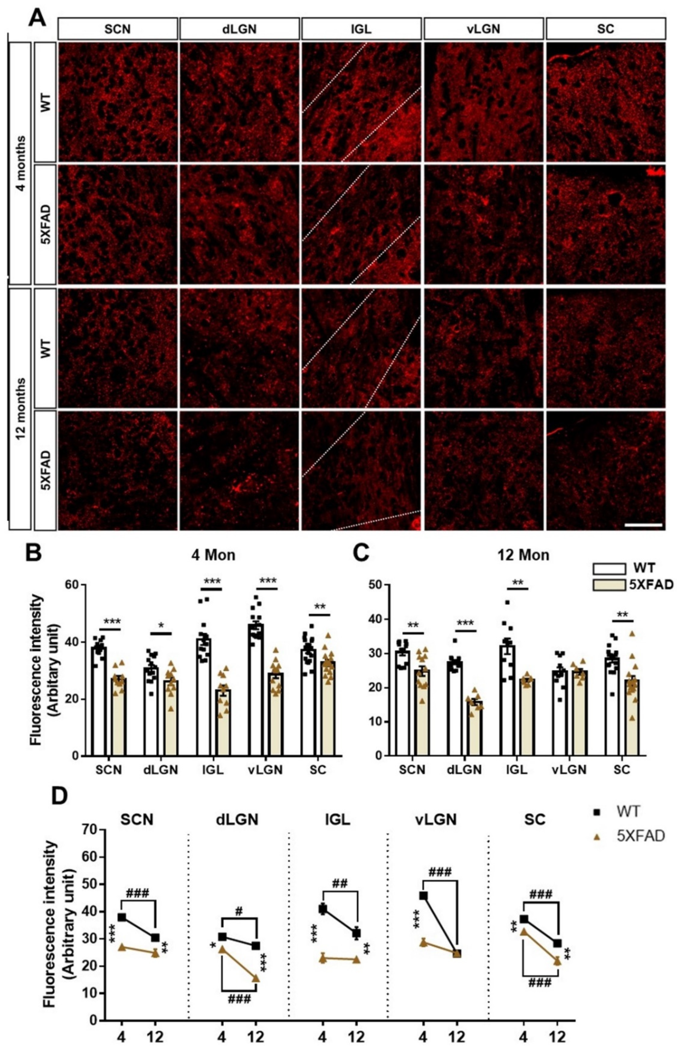 Cells 11 03901 g009 Cells 11 03901 g009