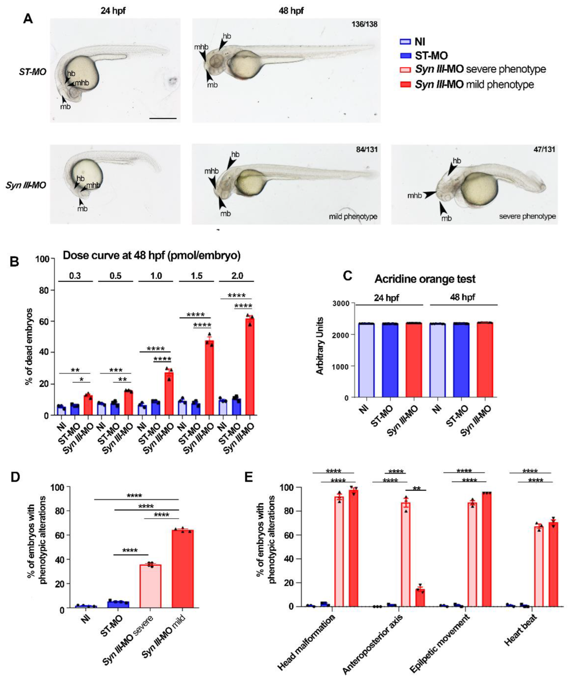 Cells 11 03902 g001 Cells 11 03902 g001
