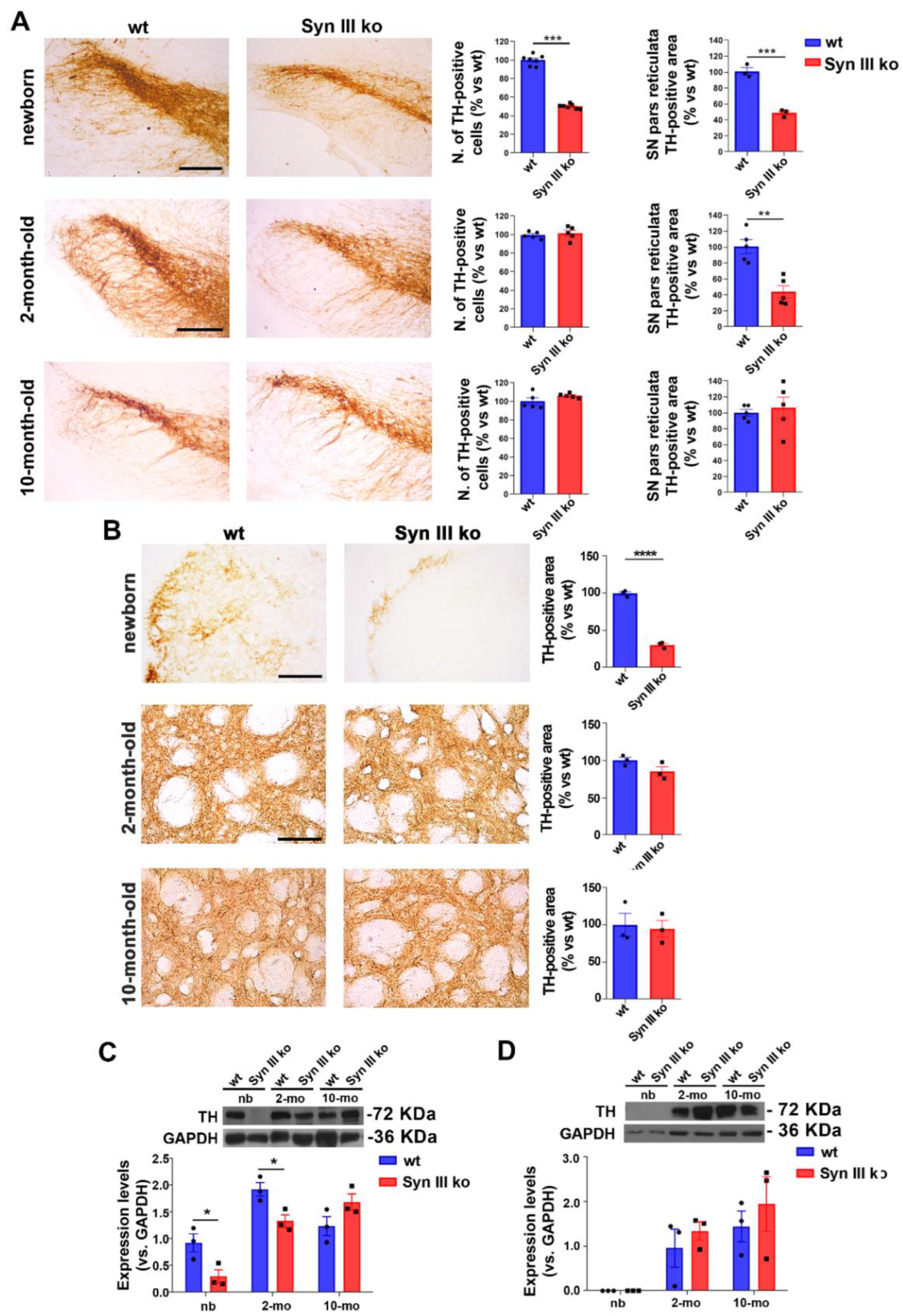 Cells 11 03902 g005 Cells 11 03902 g005