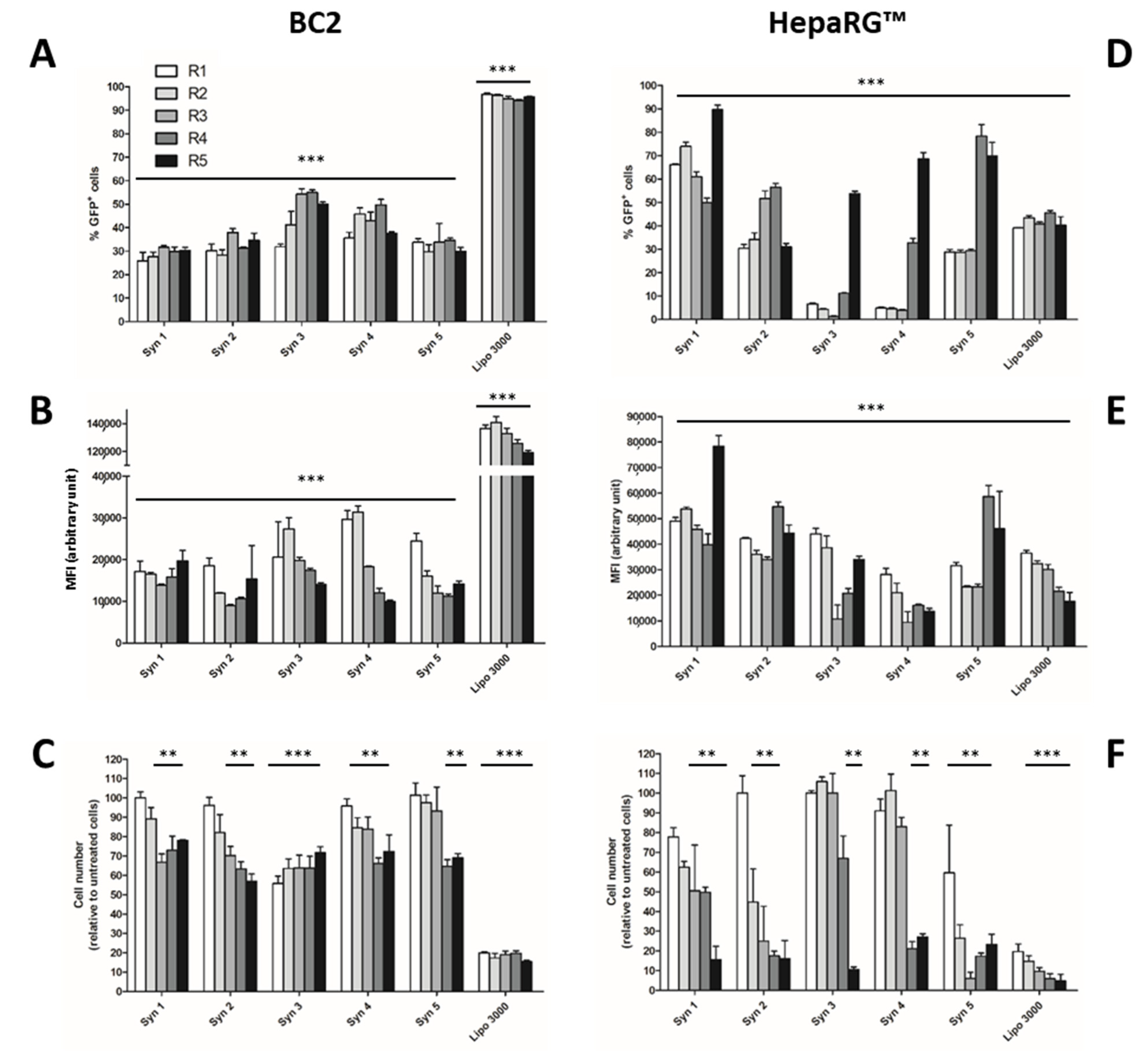 Cells 11 03904 g002 Cells 11 03904 g002