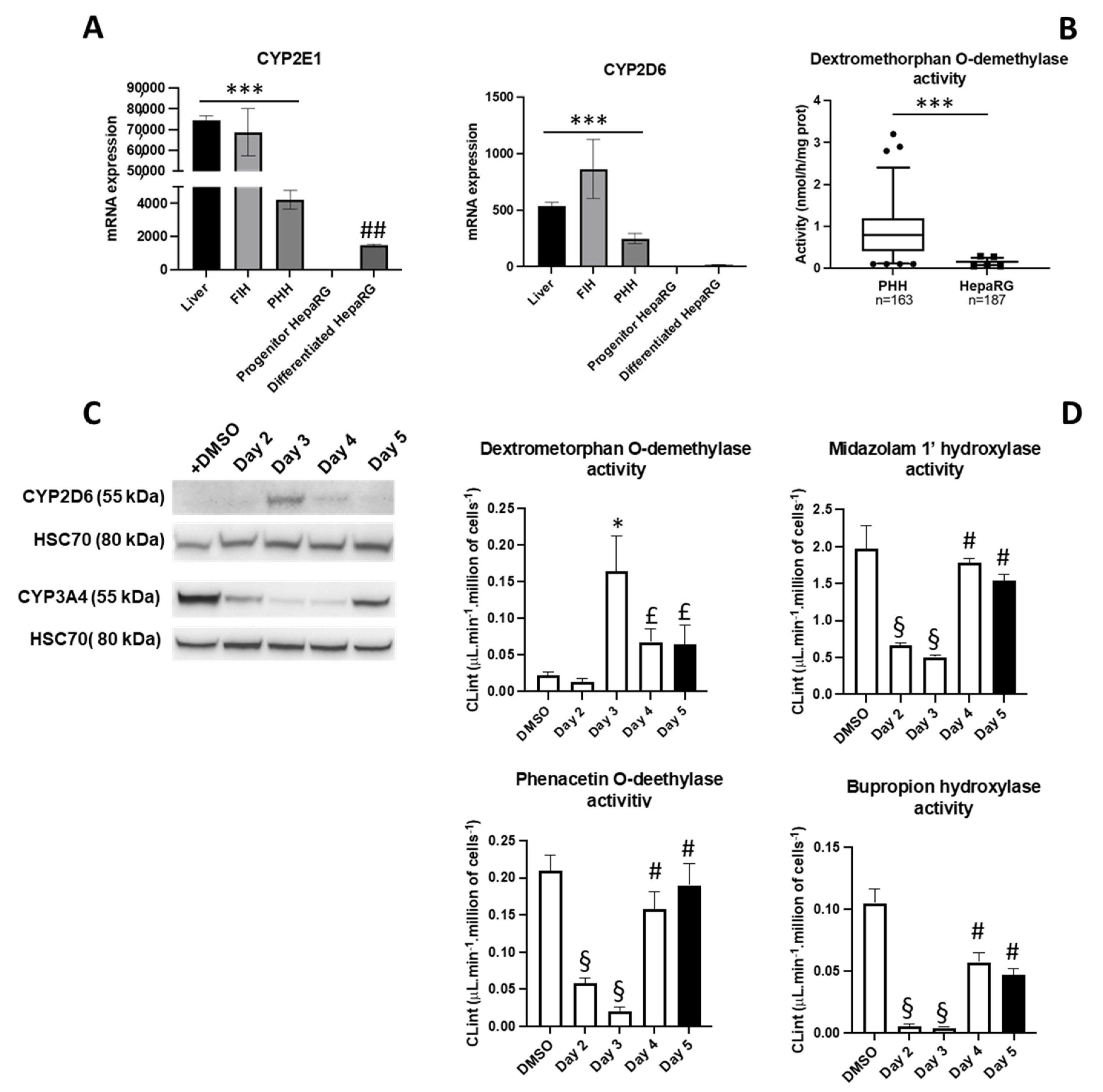 Cells 11 03904 g007 Cells 11 03904 g007