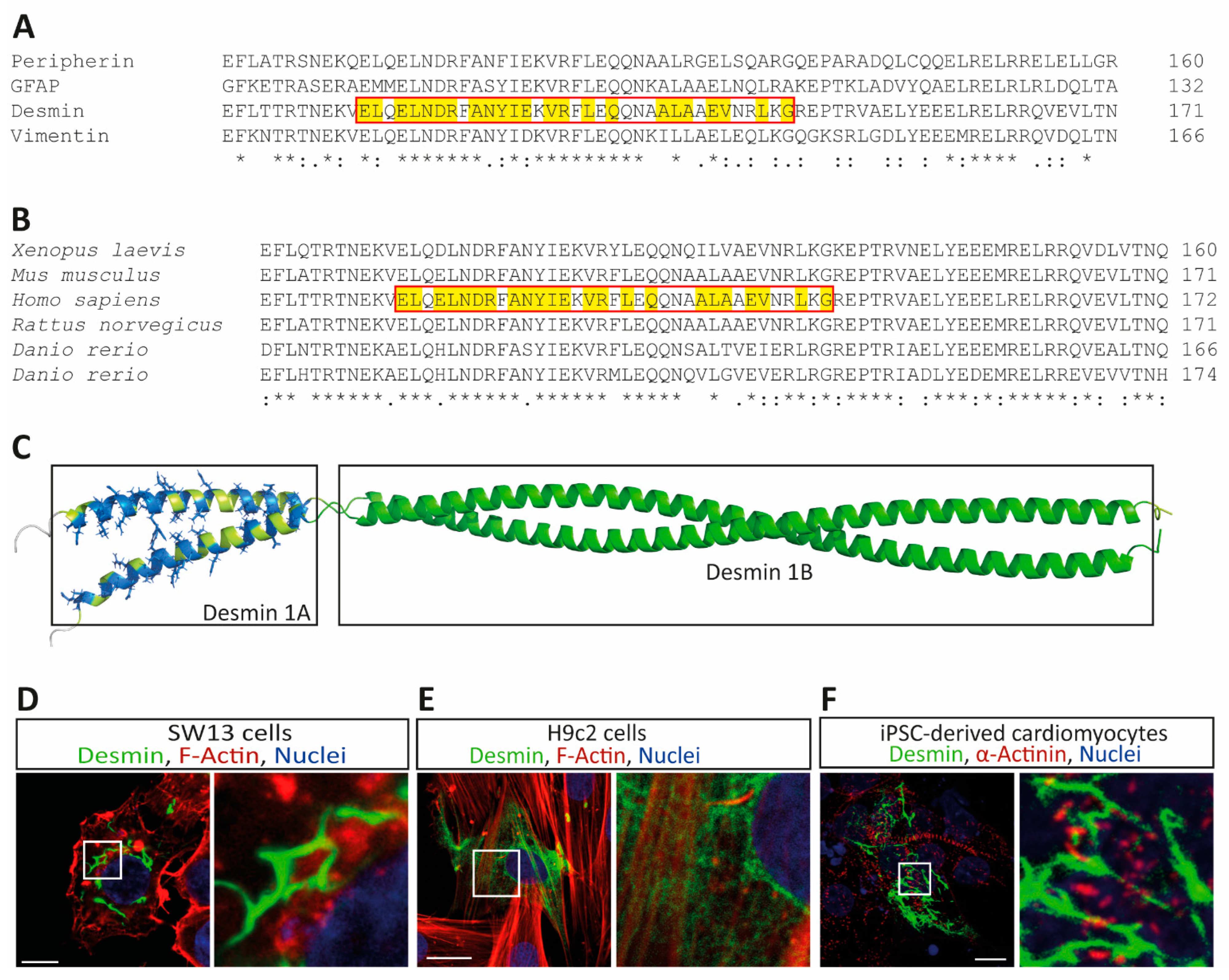 Cells 11 03906 g001 Cells 11 03906 g001