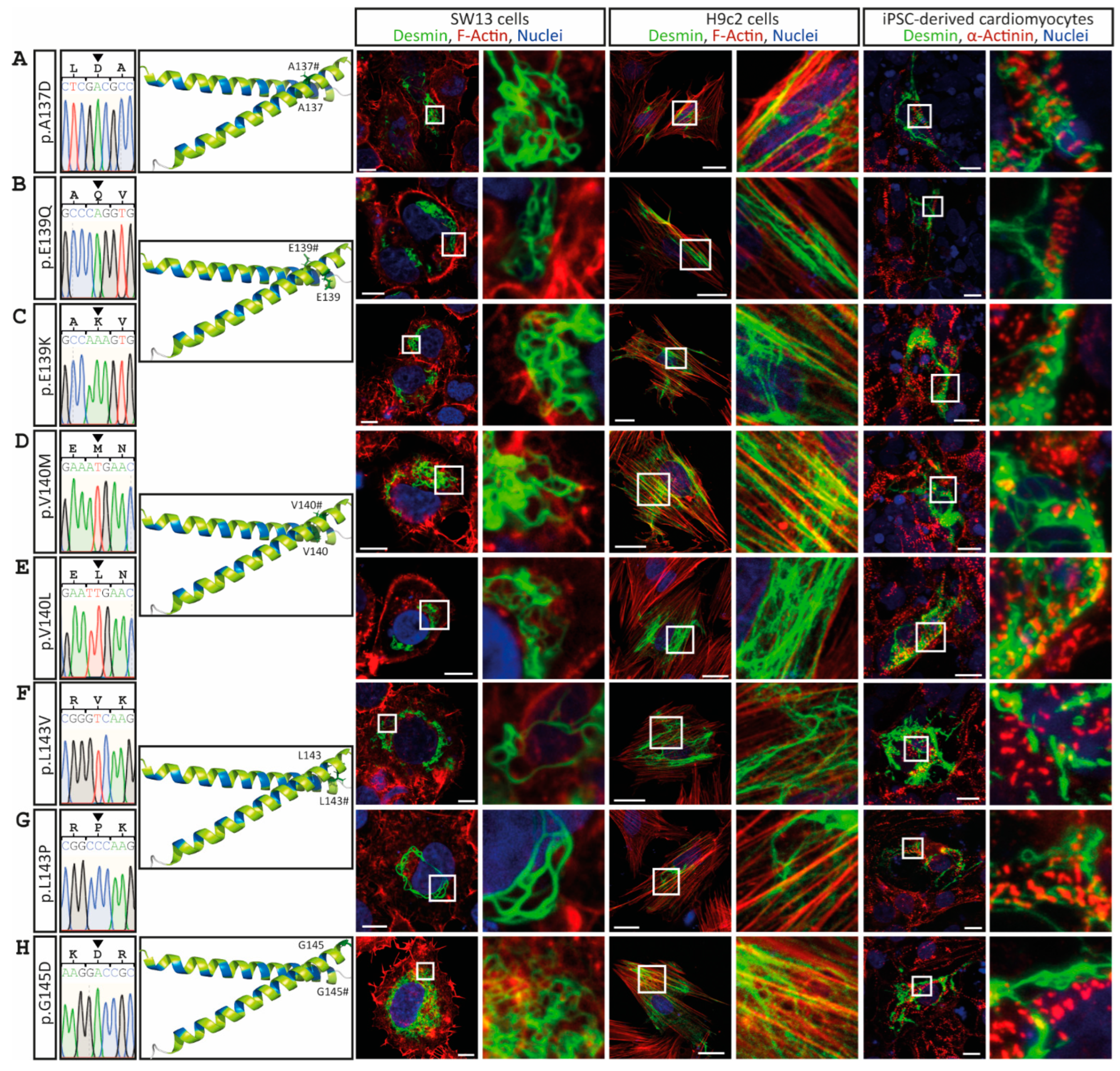 Cells 11 03906 g005 Cells 11 03906 g005