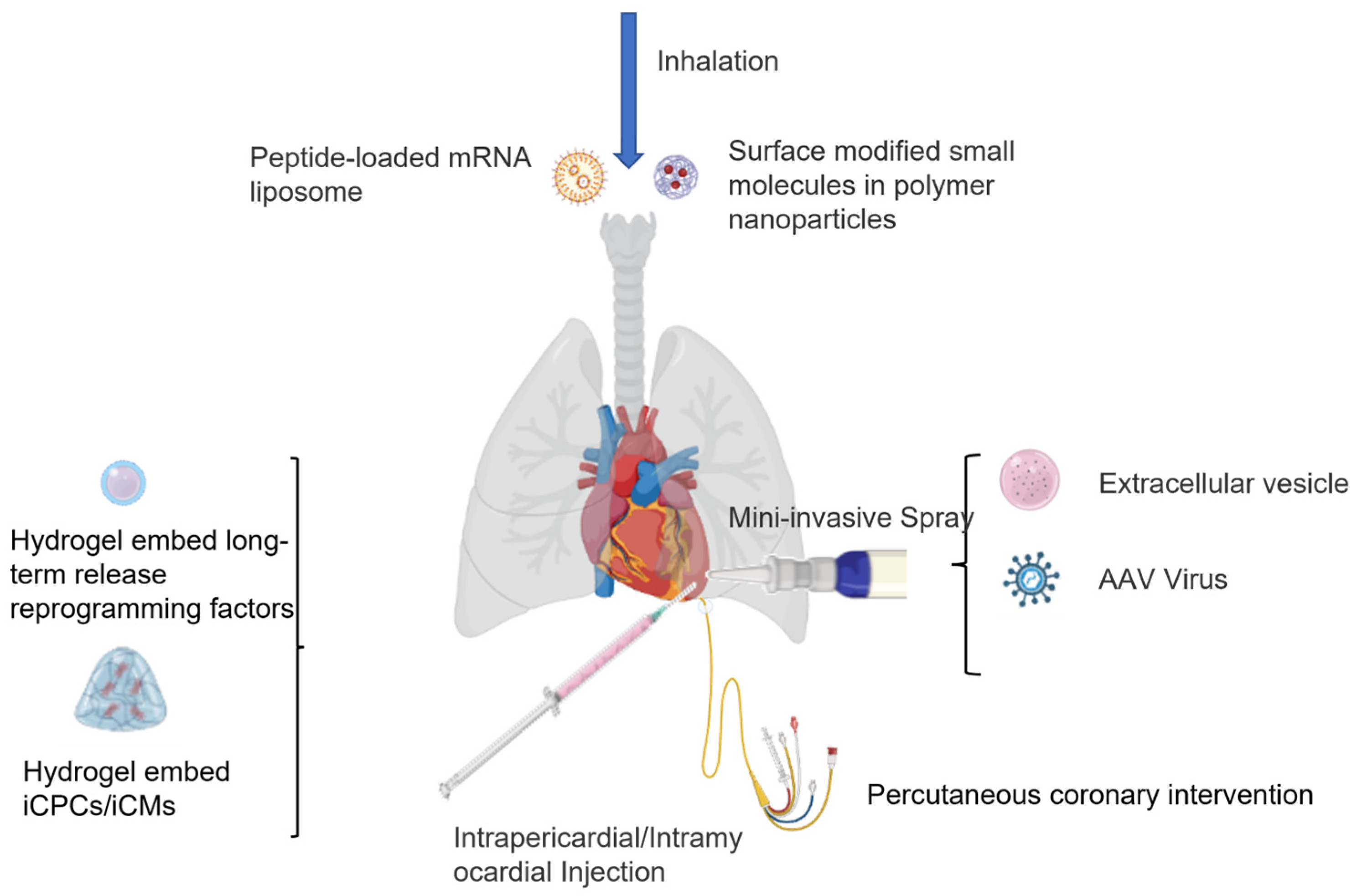 Cells 11 03914 g004 Cells 11 03914 g004