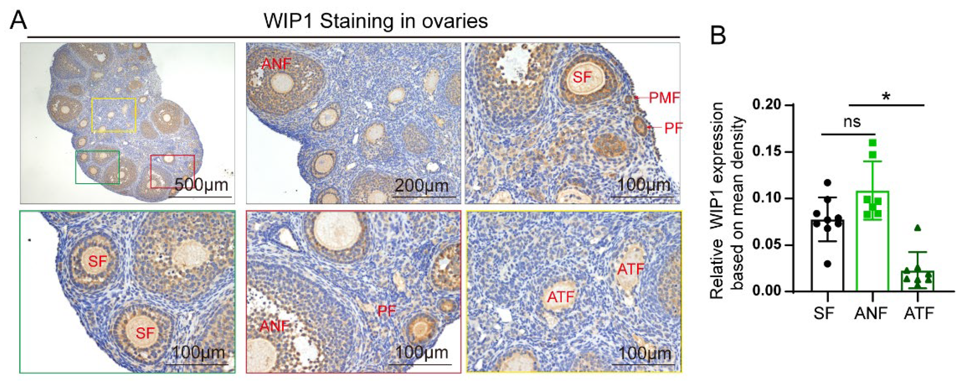 Cells 11 03920 g001 Cells 11 03920 g001